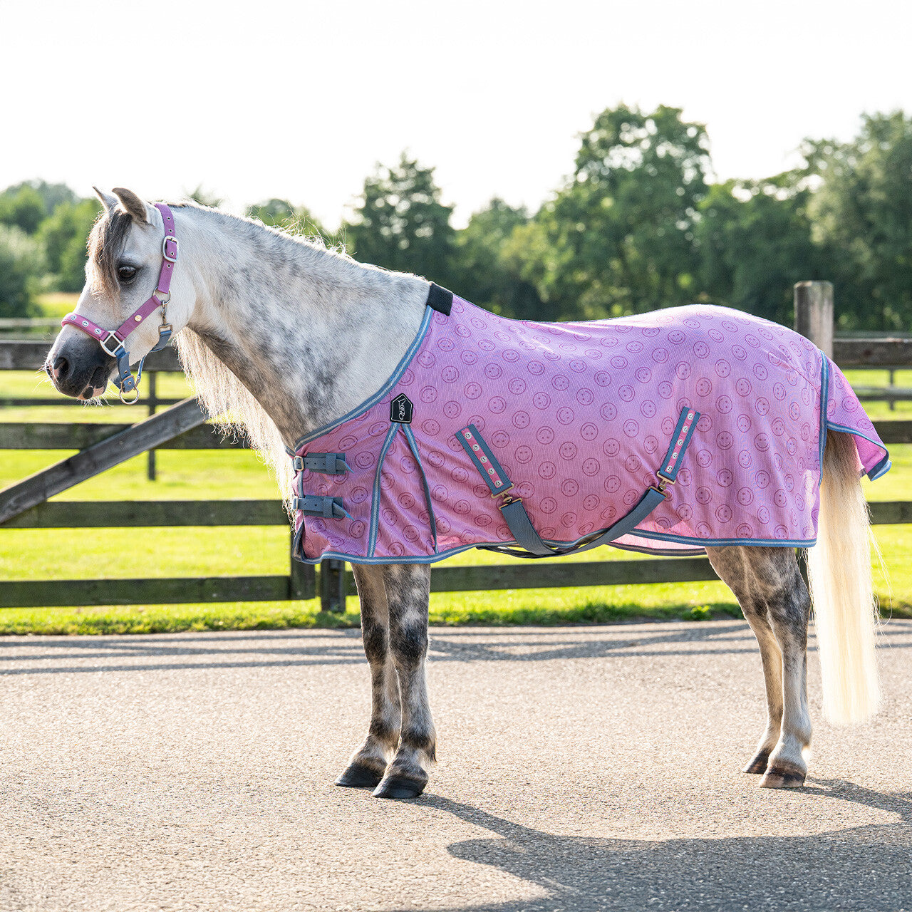 Fly sheet Rosalynn