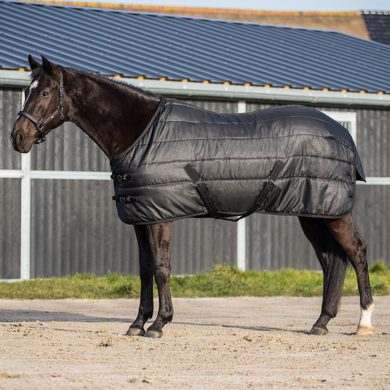 Stable rug Glitter 150gr