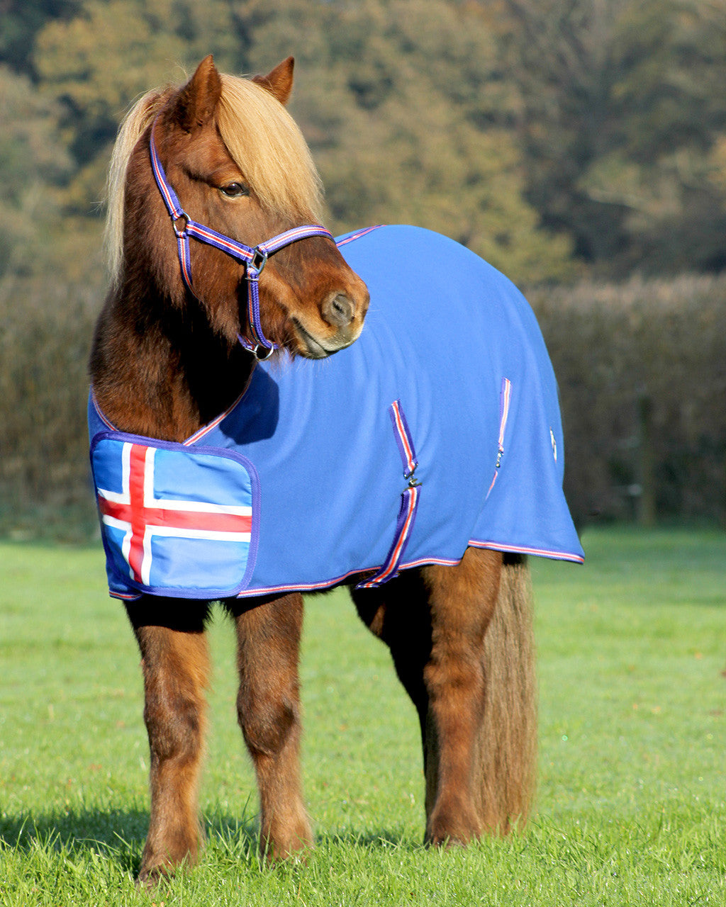 Fleece rug Icelandic