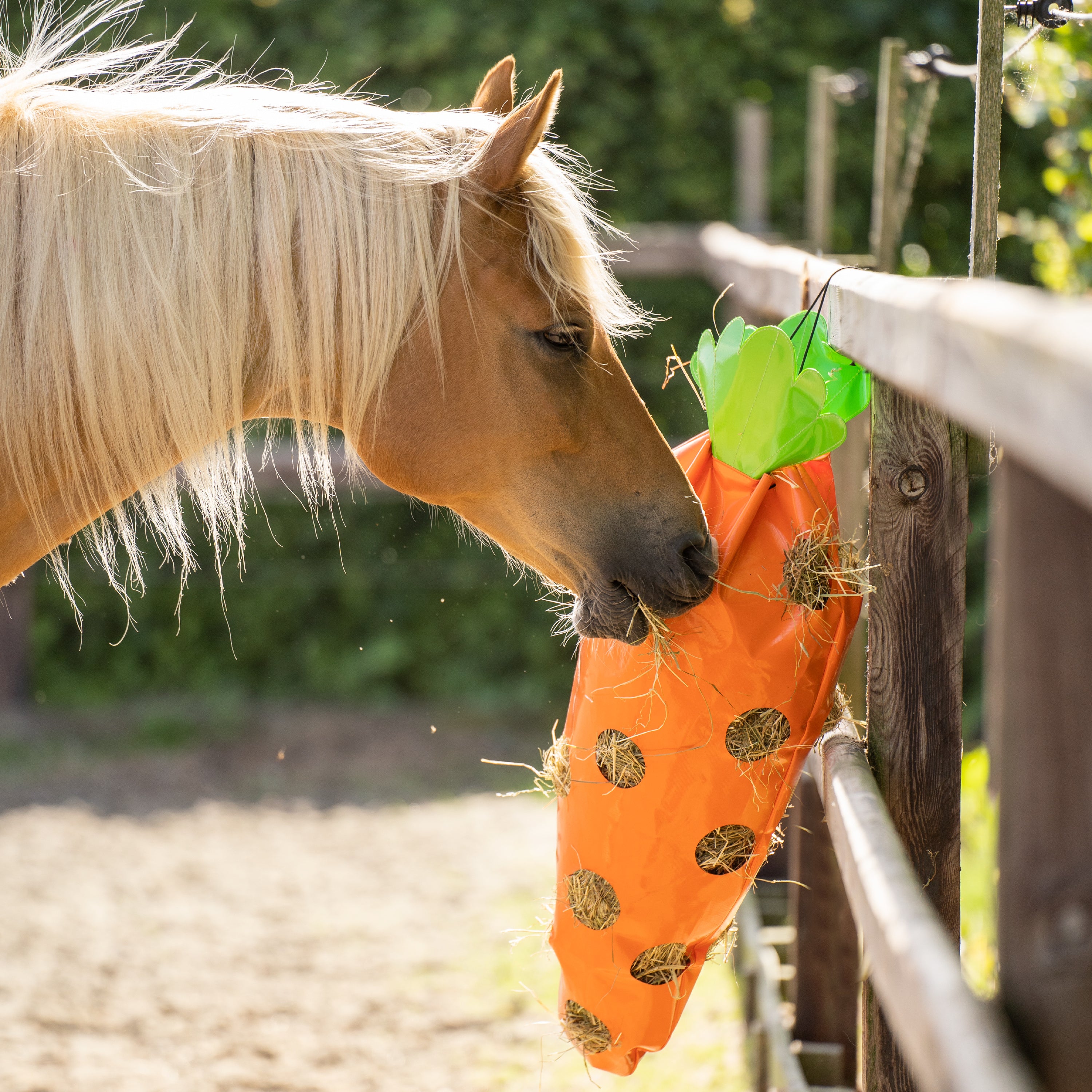 Hay bag IRHCarrot