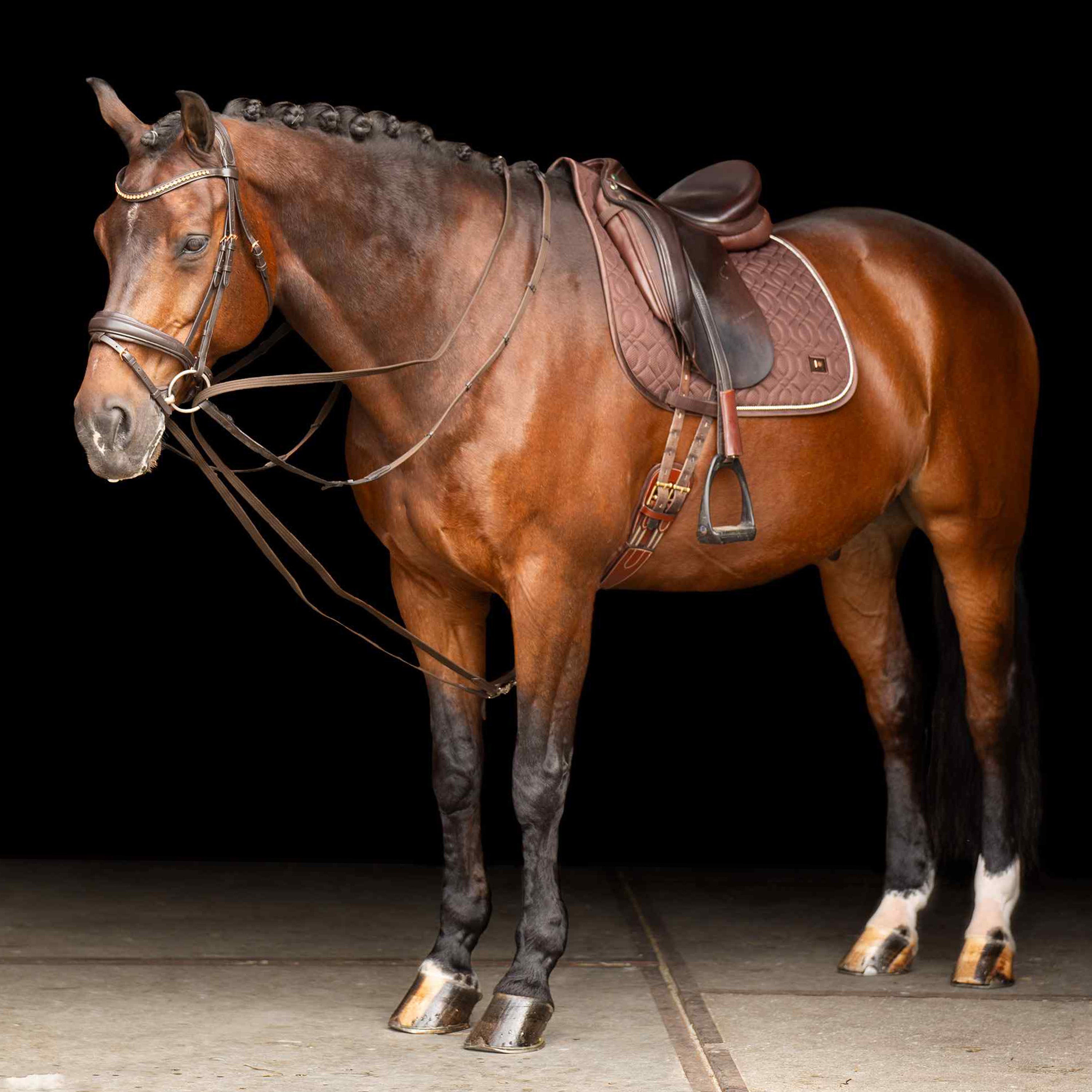 Drawreins SH IRHCore