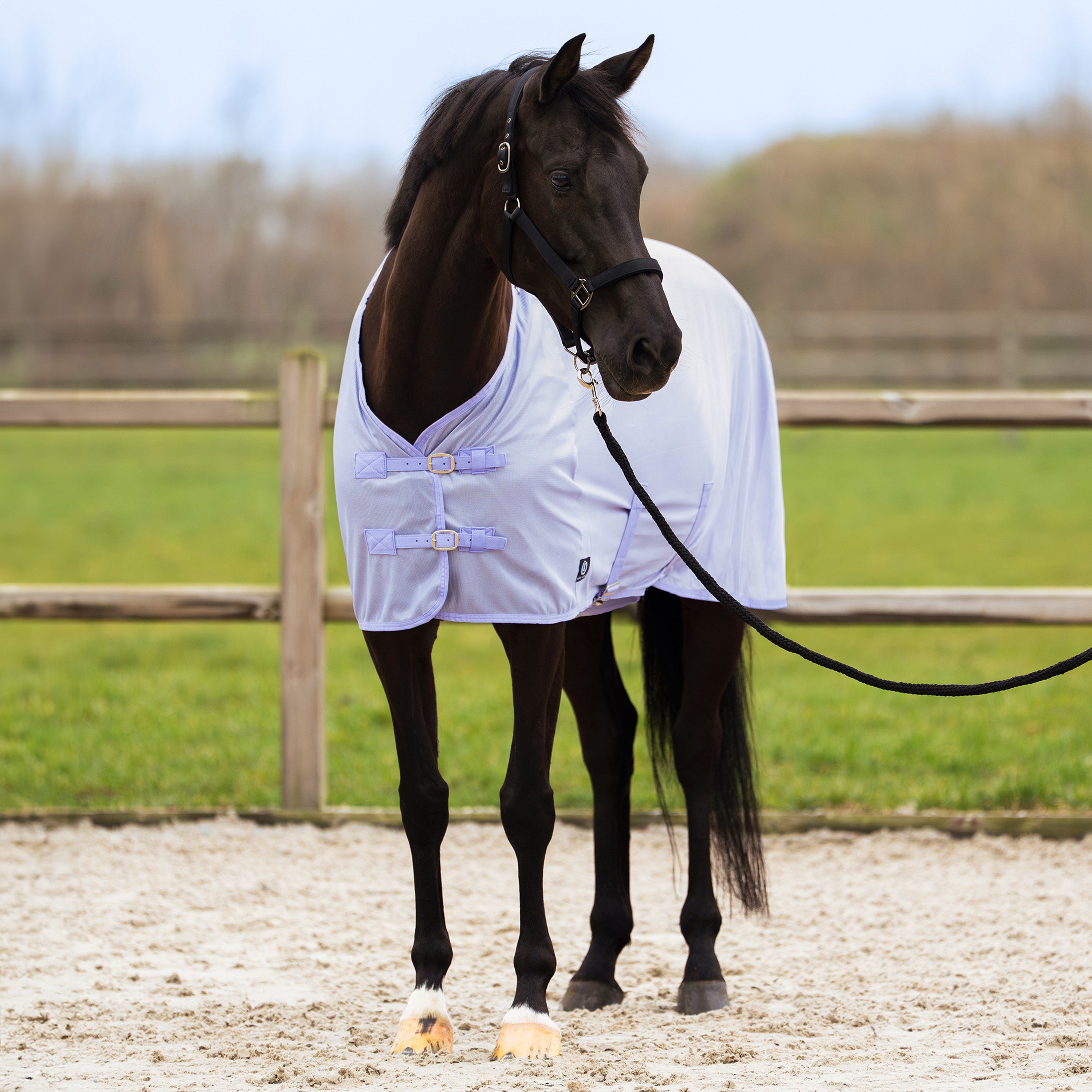 Fly blanket IRHReese