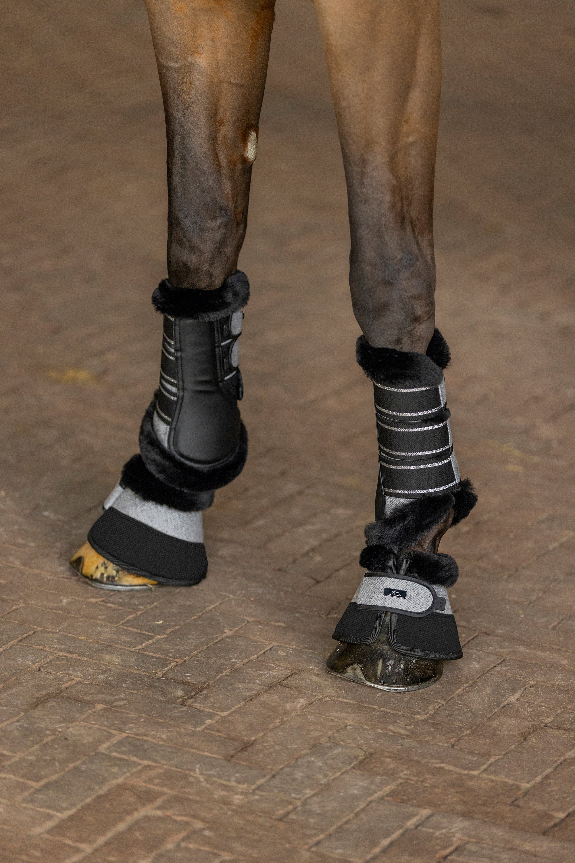 Bellboots HVPFrancis