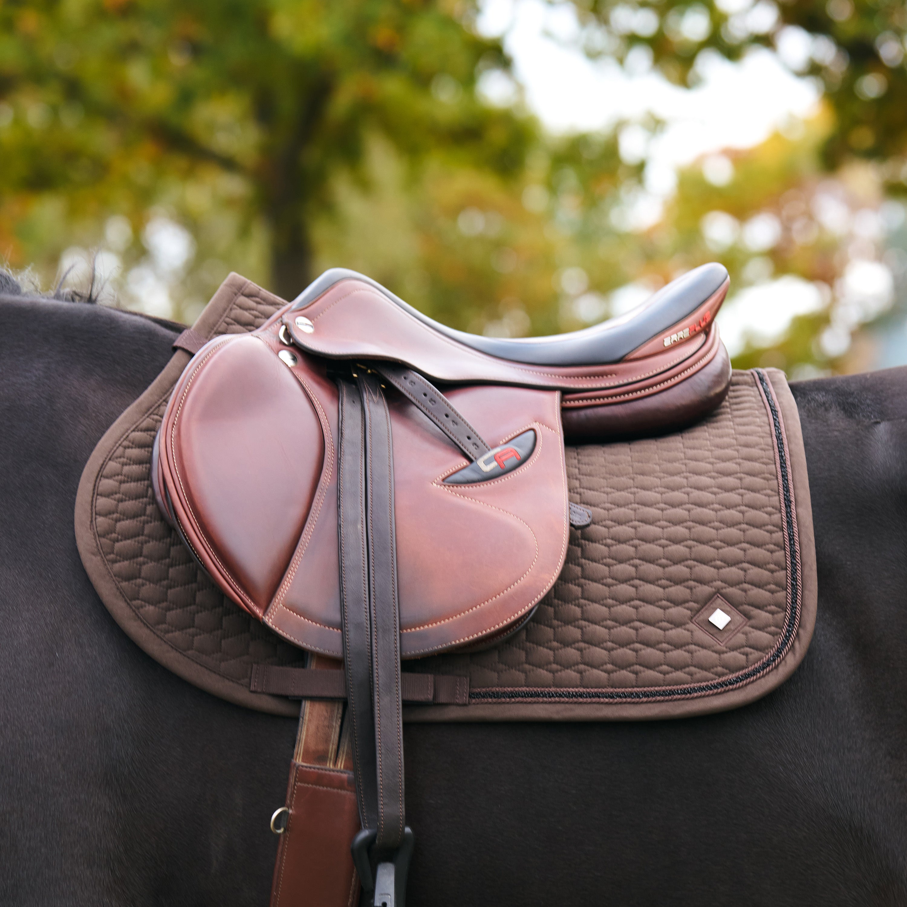 Saddlepad IRHMaria GP