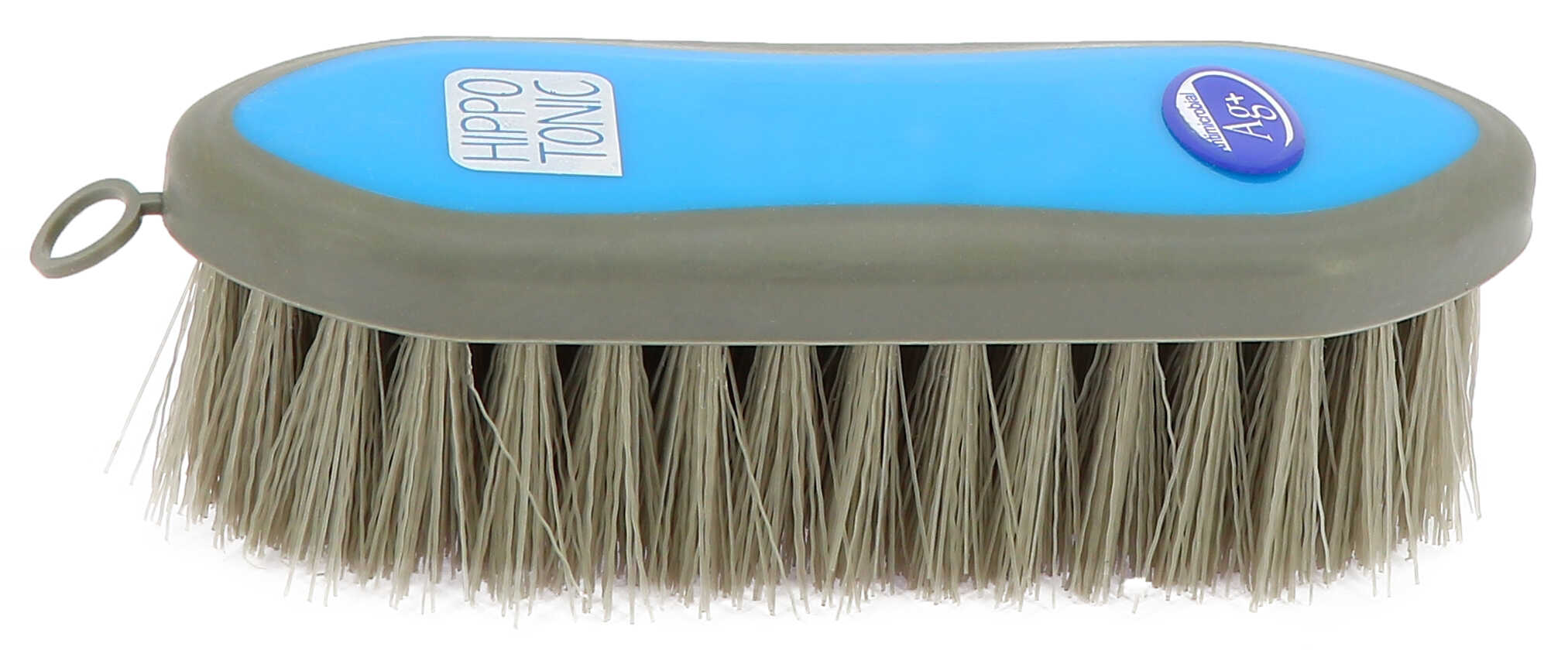 HIPPOTONIC - Antimicrobien - Dandy Brush