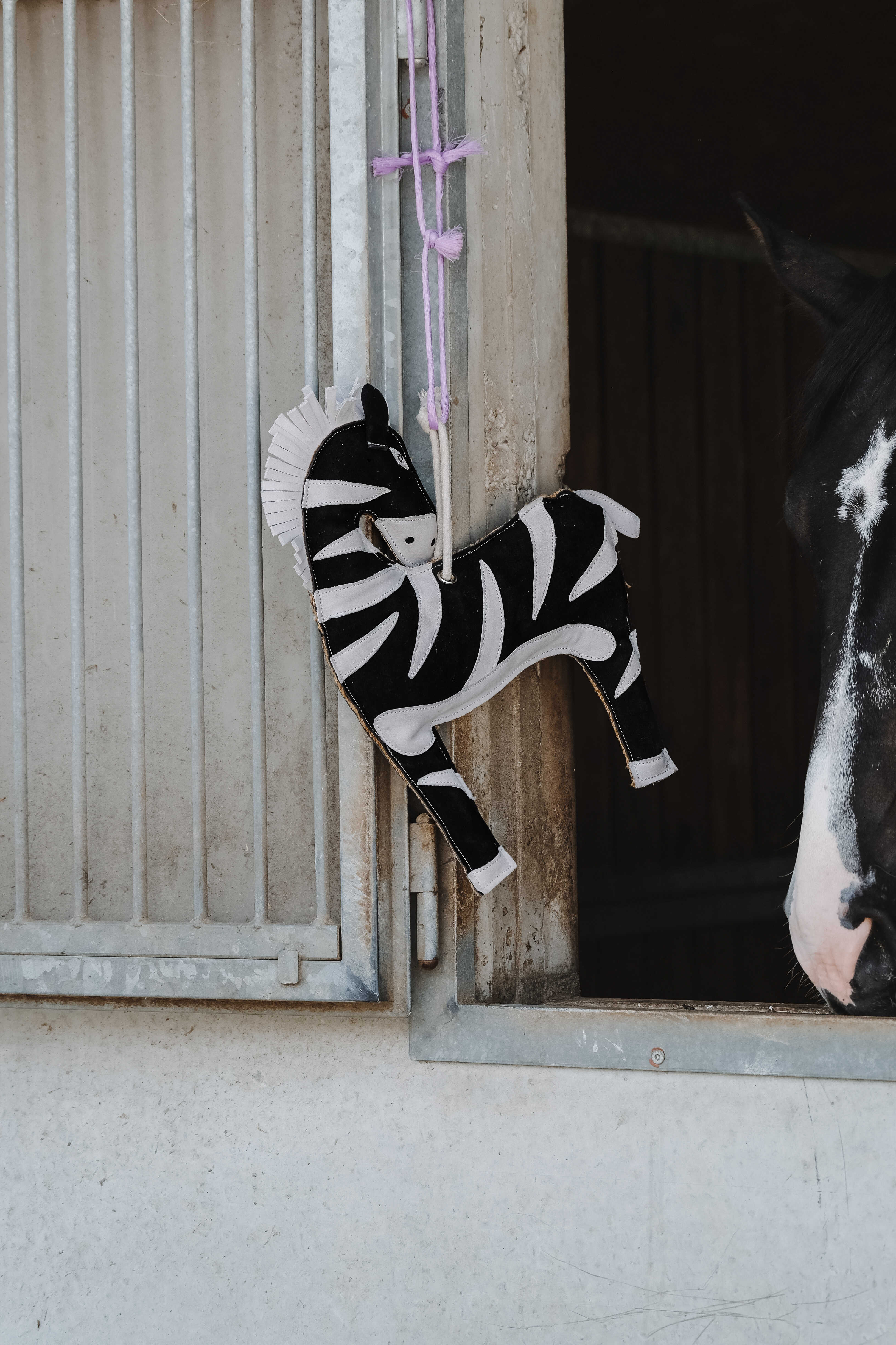 HIPPOTONIC - ZÃ¨bre - Toy for Horses