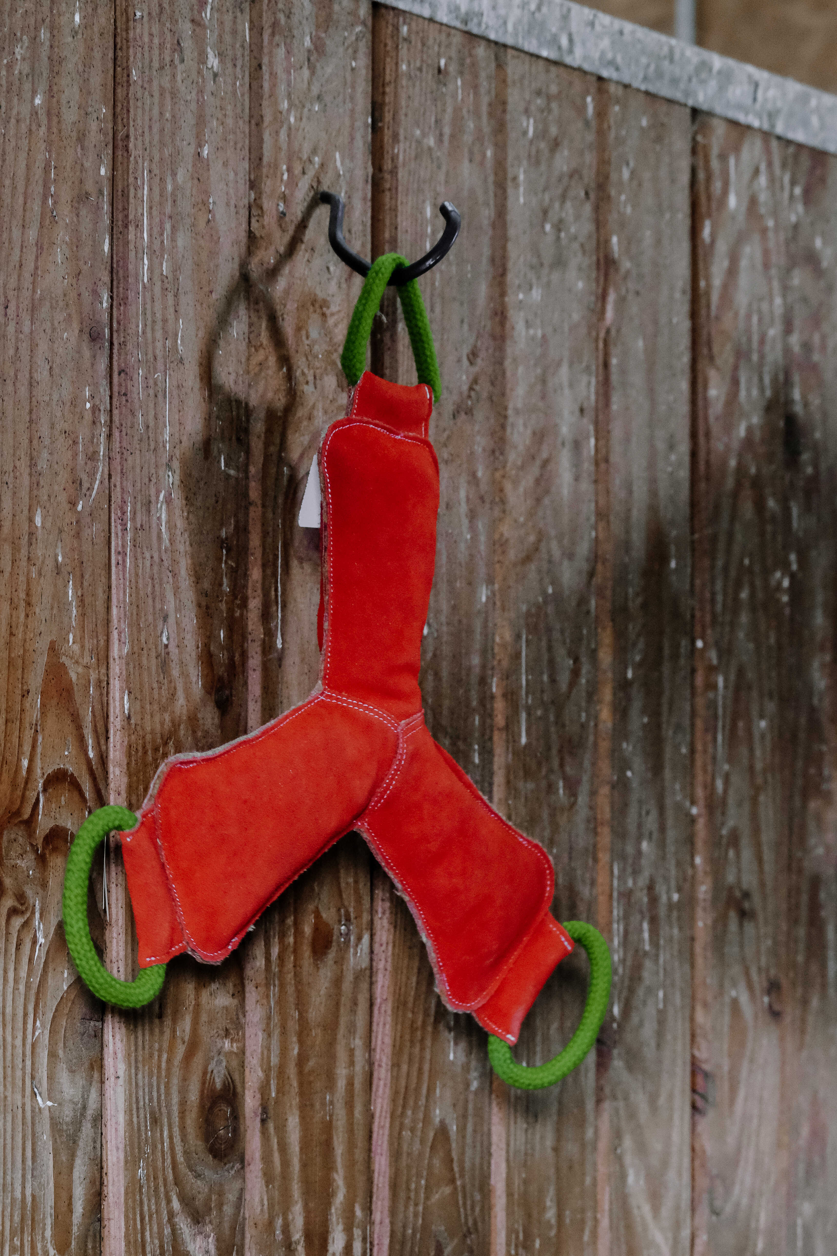 HIPPOTONIC - Boomerang - Toy for Horses