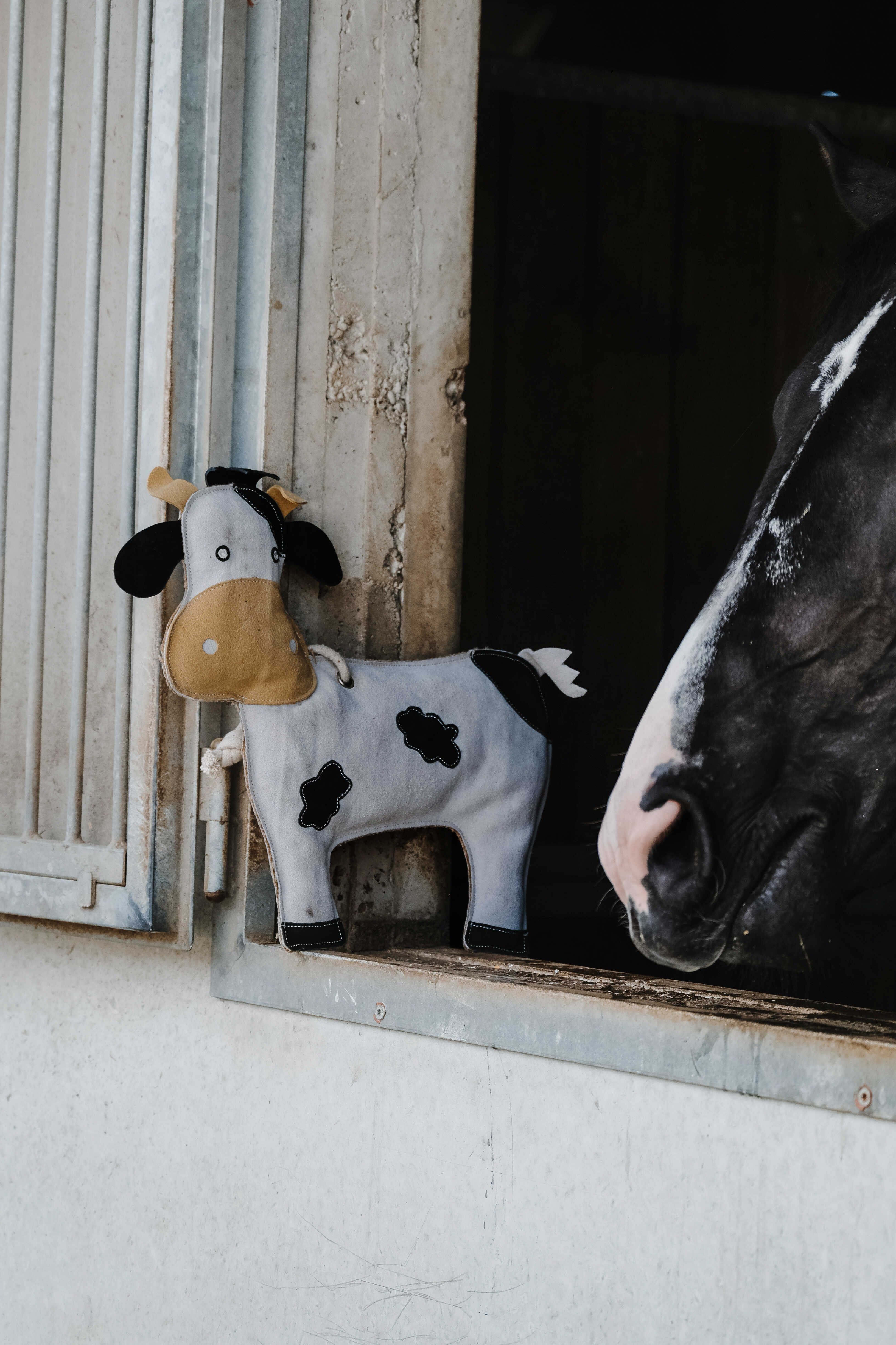 HIPPOTONIC - Vache - Toy for Horses
