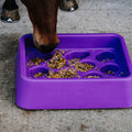 HIPPOTONIC Anti-gorging feeder
