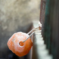 HIMALAYAN HIPPOTONIC Salt Stone