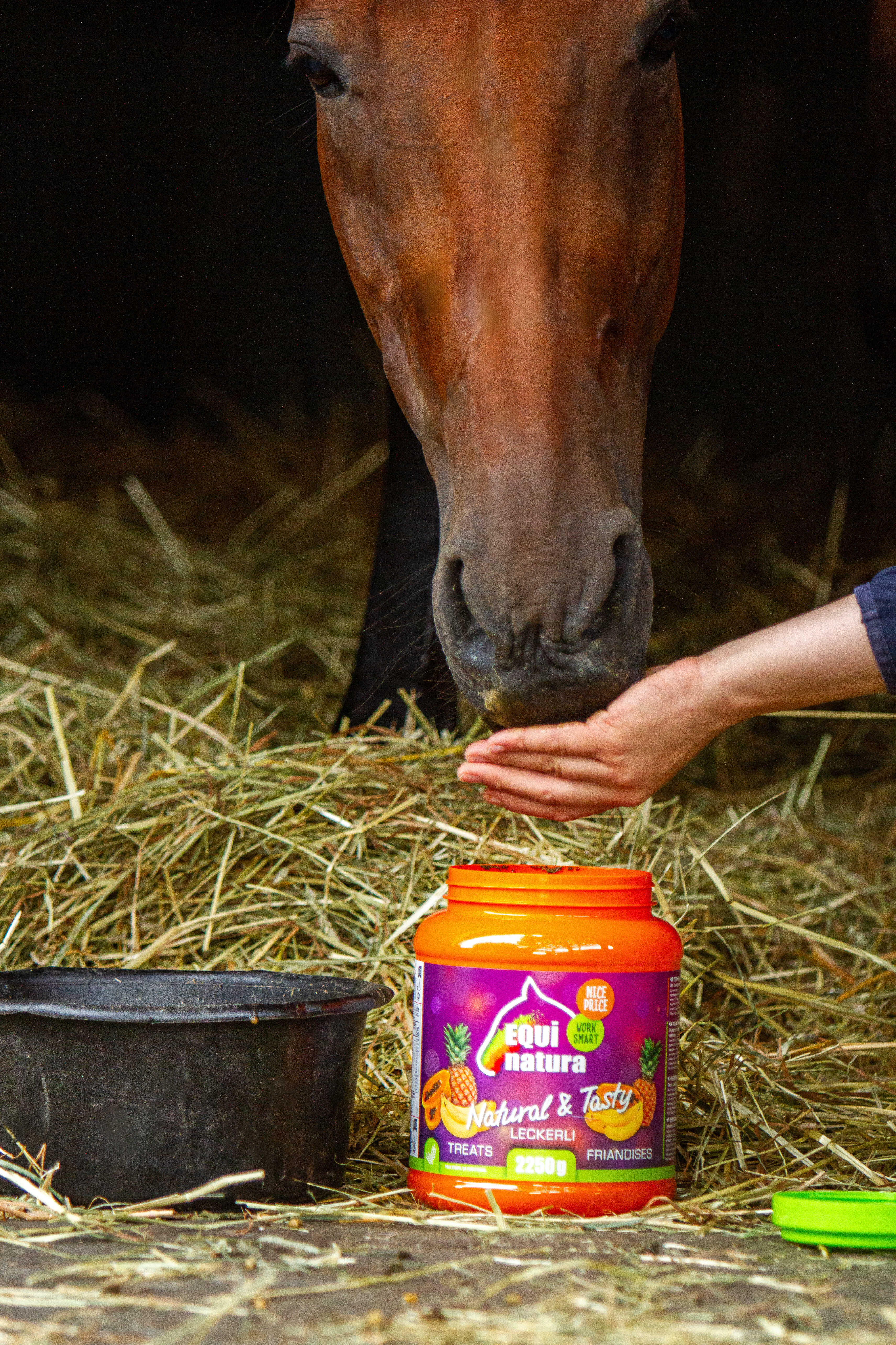 EQUINATURA Natural Treats