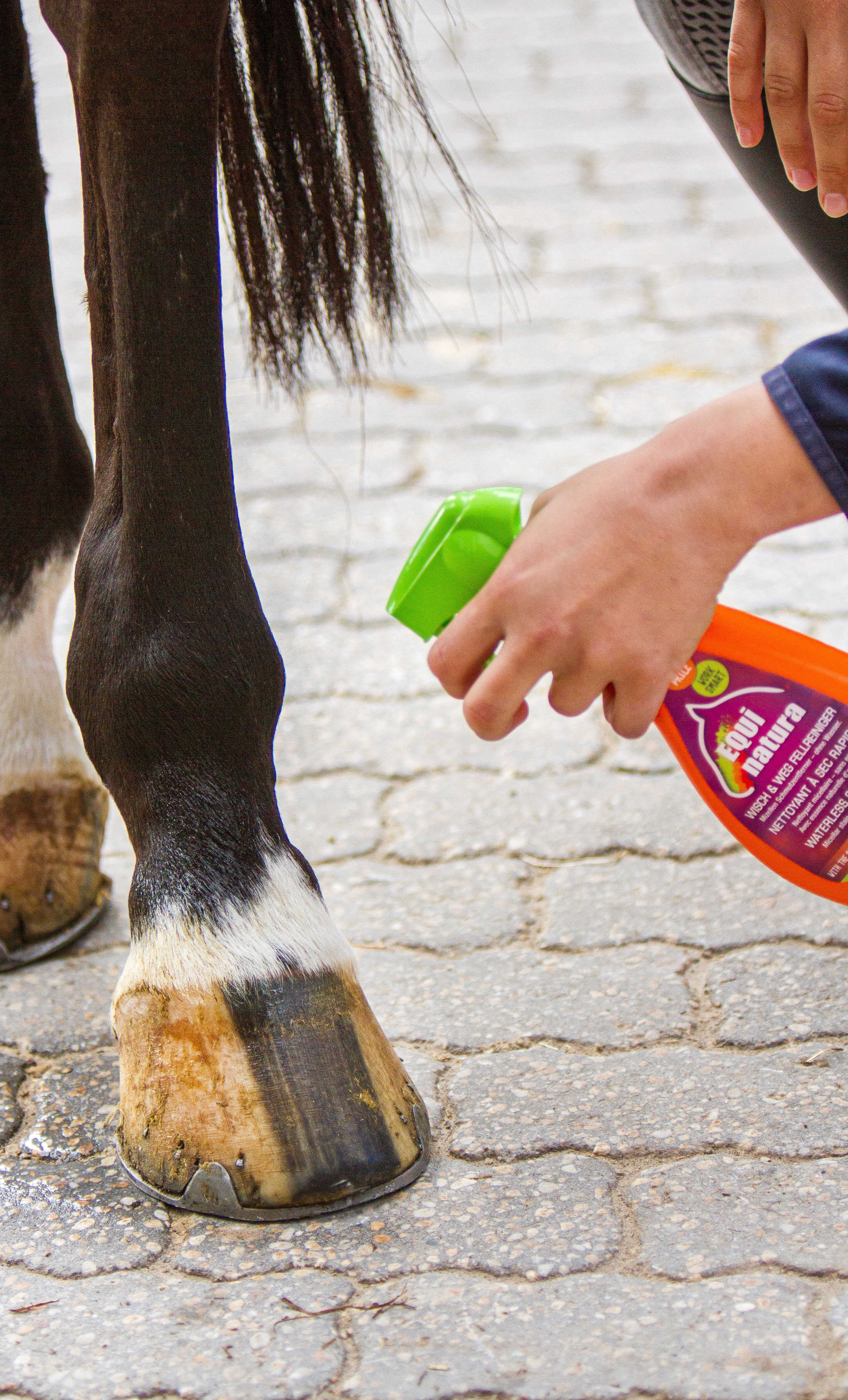 EQUINATURA Express Coat Cleaner