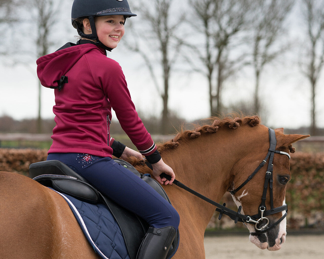 Saddle jewel Brittany