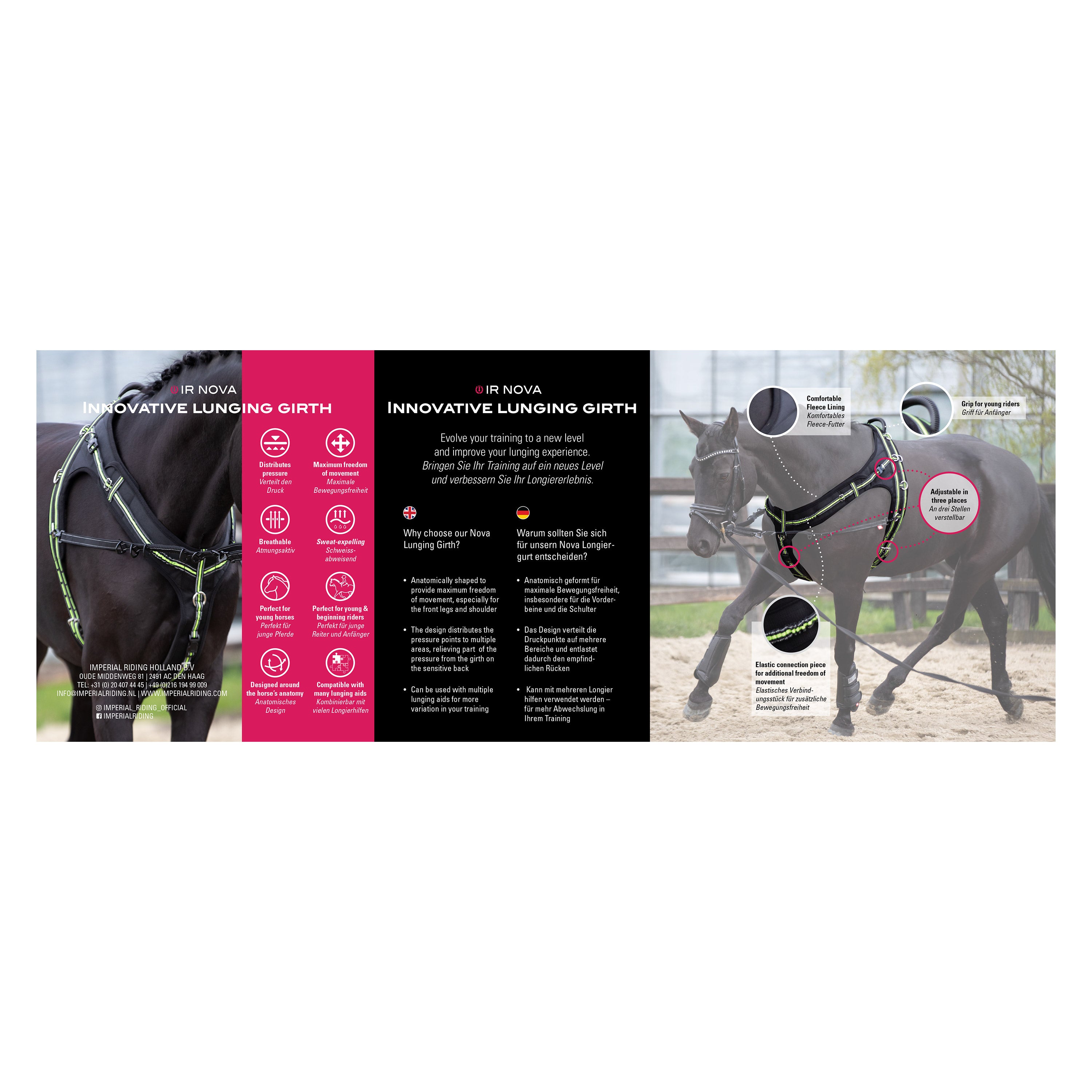 Lunging girth IRHNova