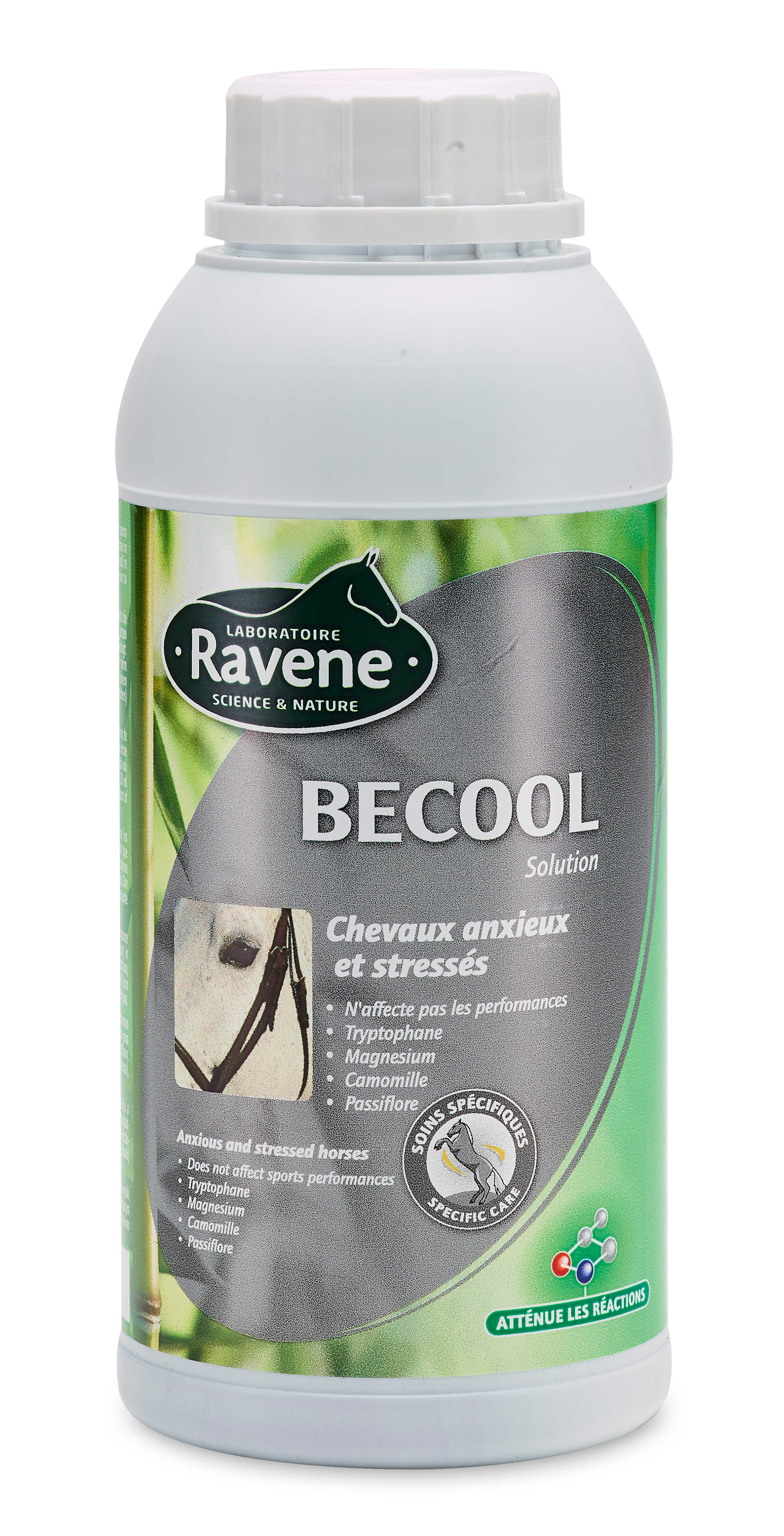 RAVENE Becool