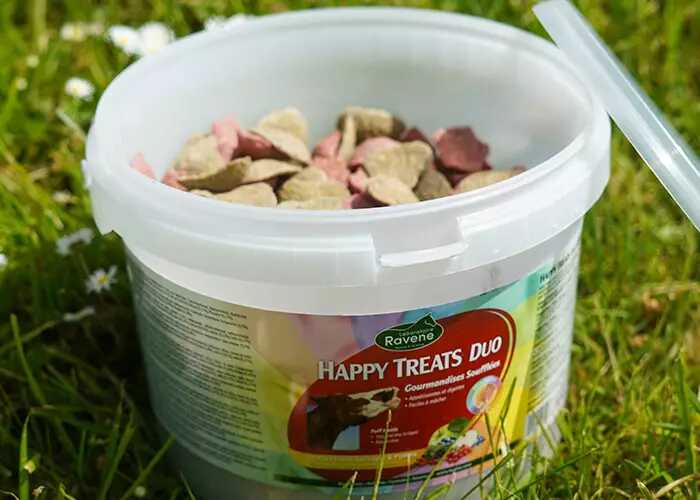 RAVENE Happy Treats Duo