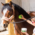 RAVENE Insect Repellent Protect Gel, Jar + Sponge