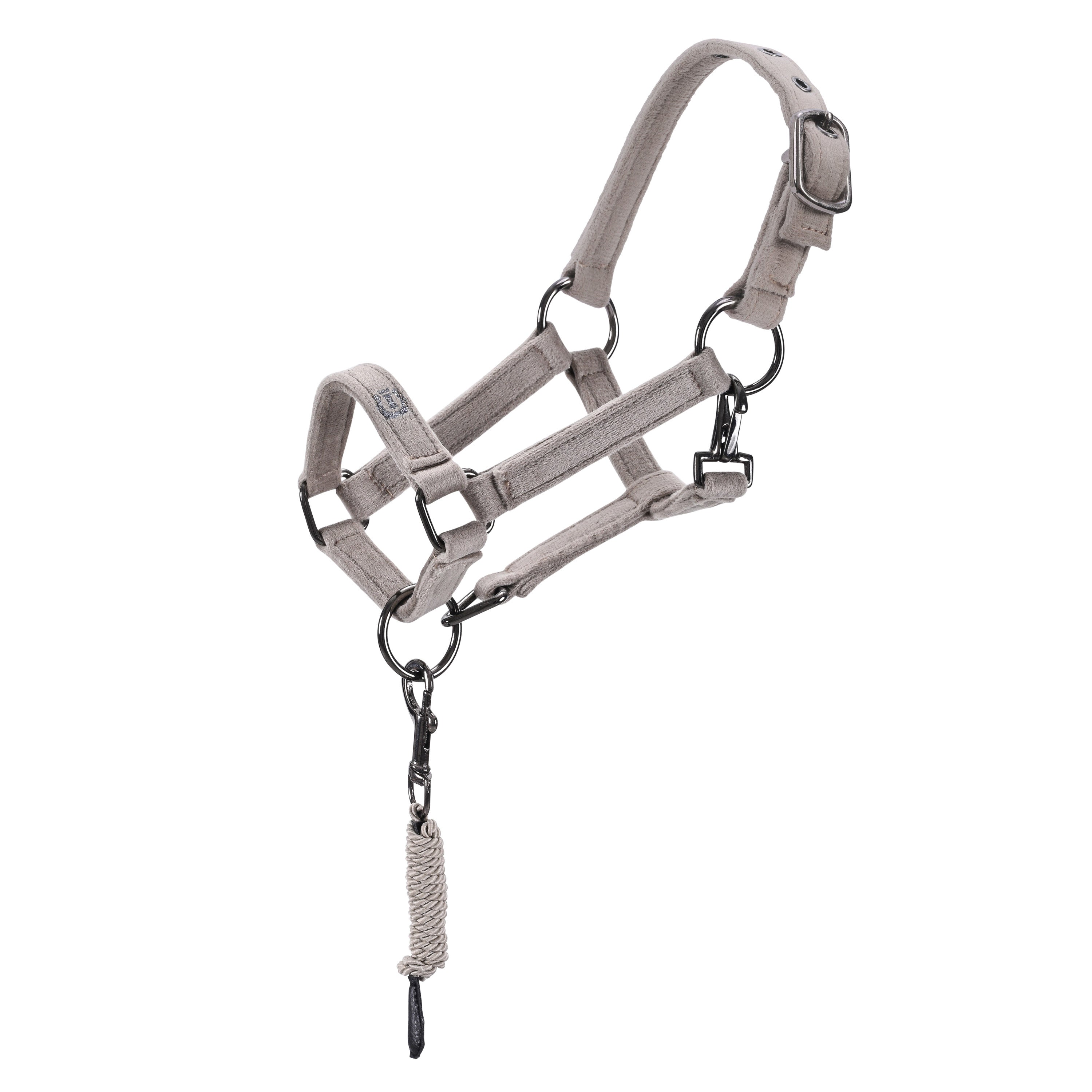 Hobby Horse headcollar IRHVelvet