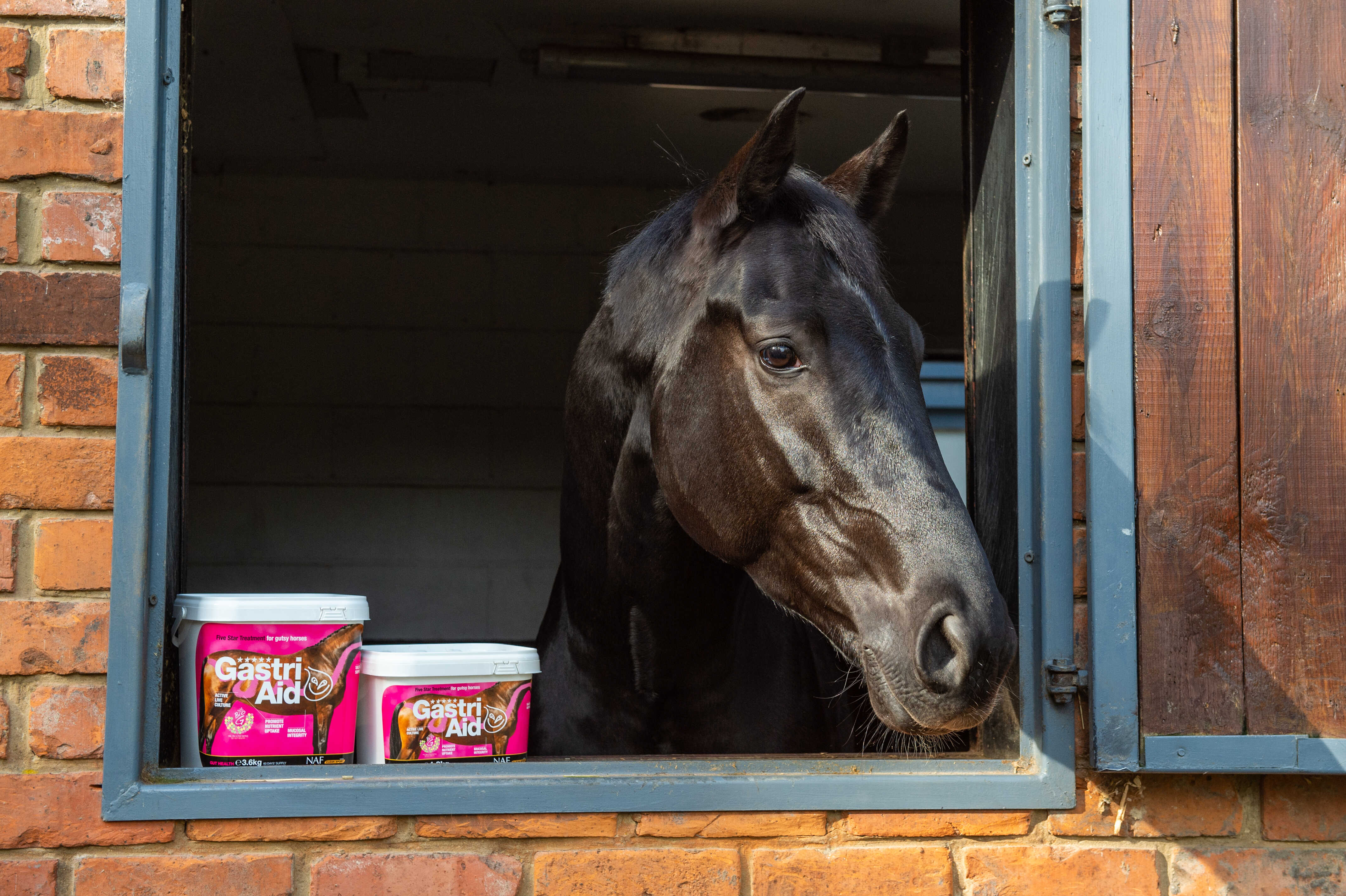 NAF Complementary Feed - Gastri Aid