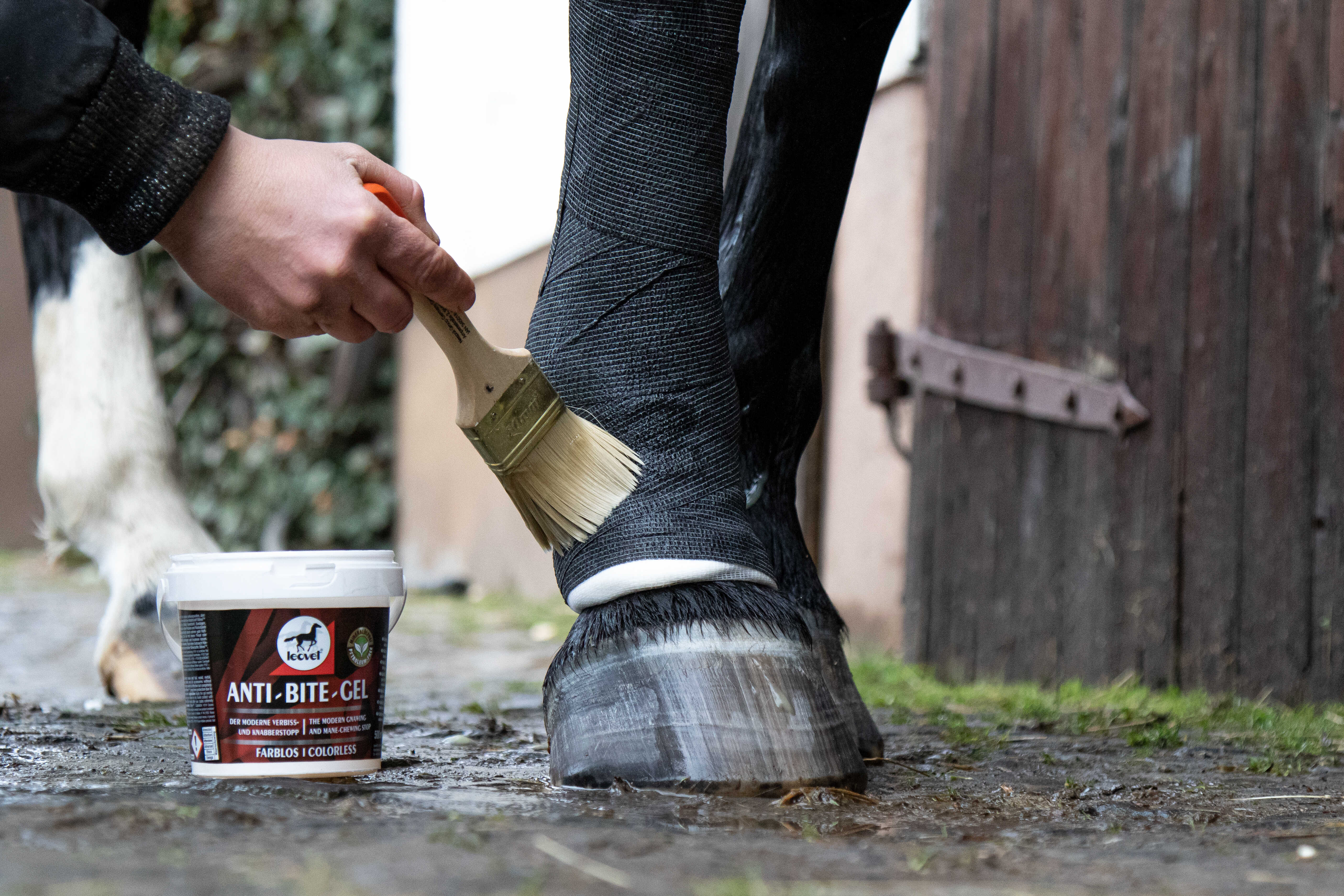 LEOVET Anti-chew Gel