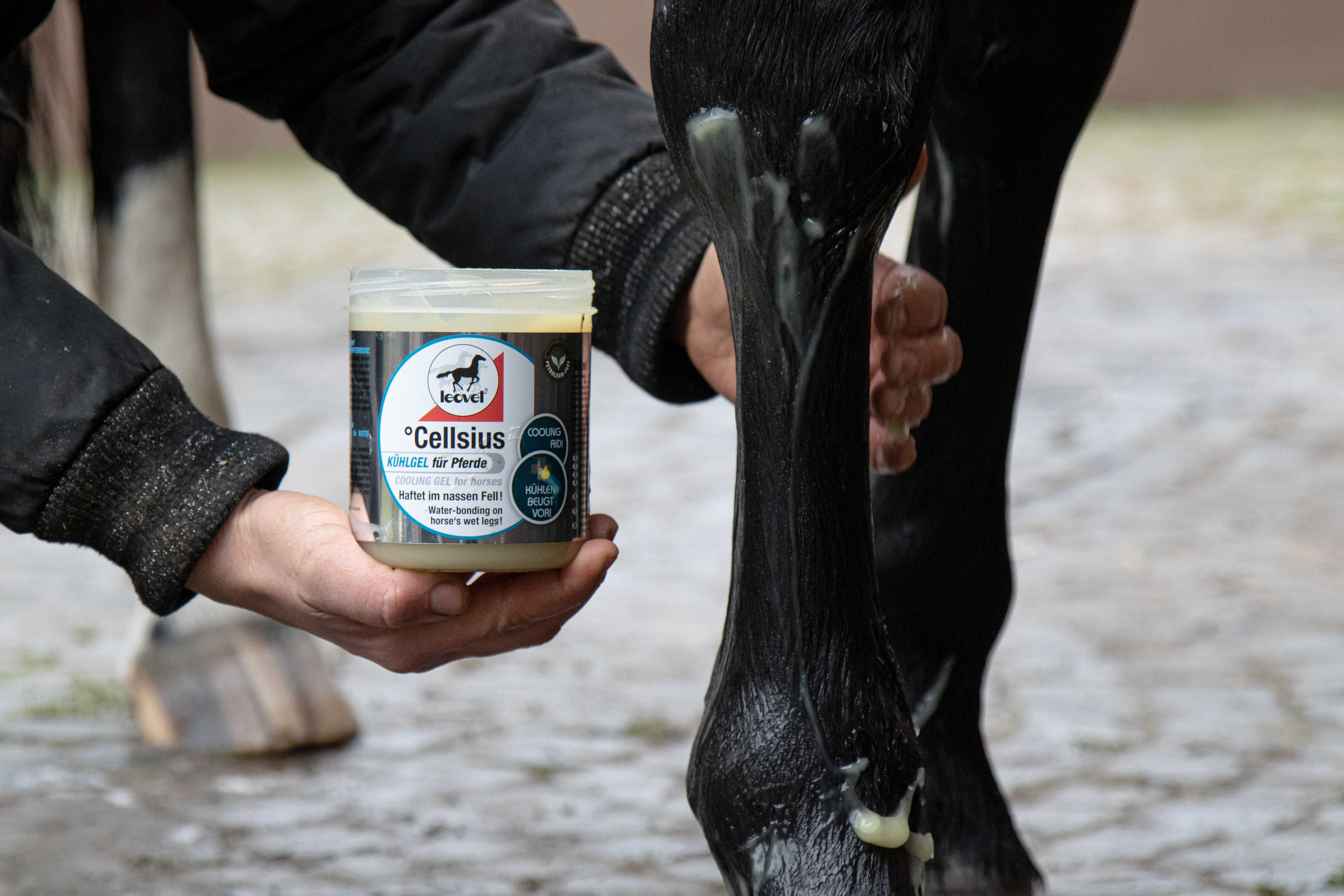 LEOVET Cooling Gel - Cellsius