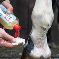 LEOVET Cleansing Lotion - Med
