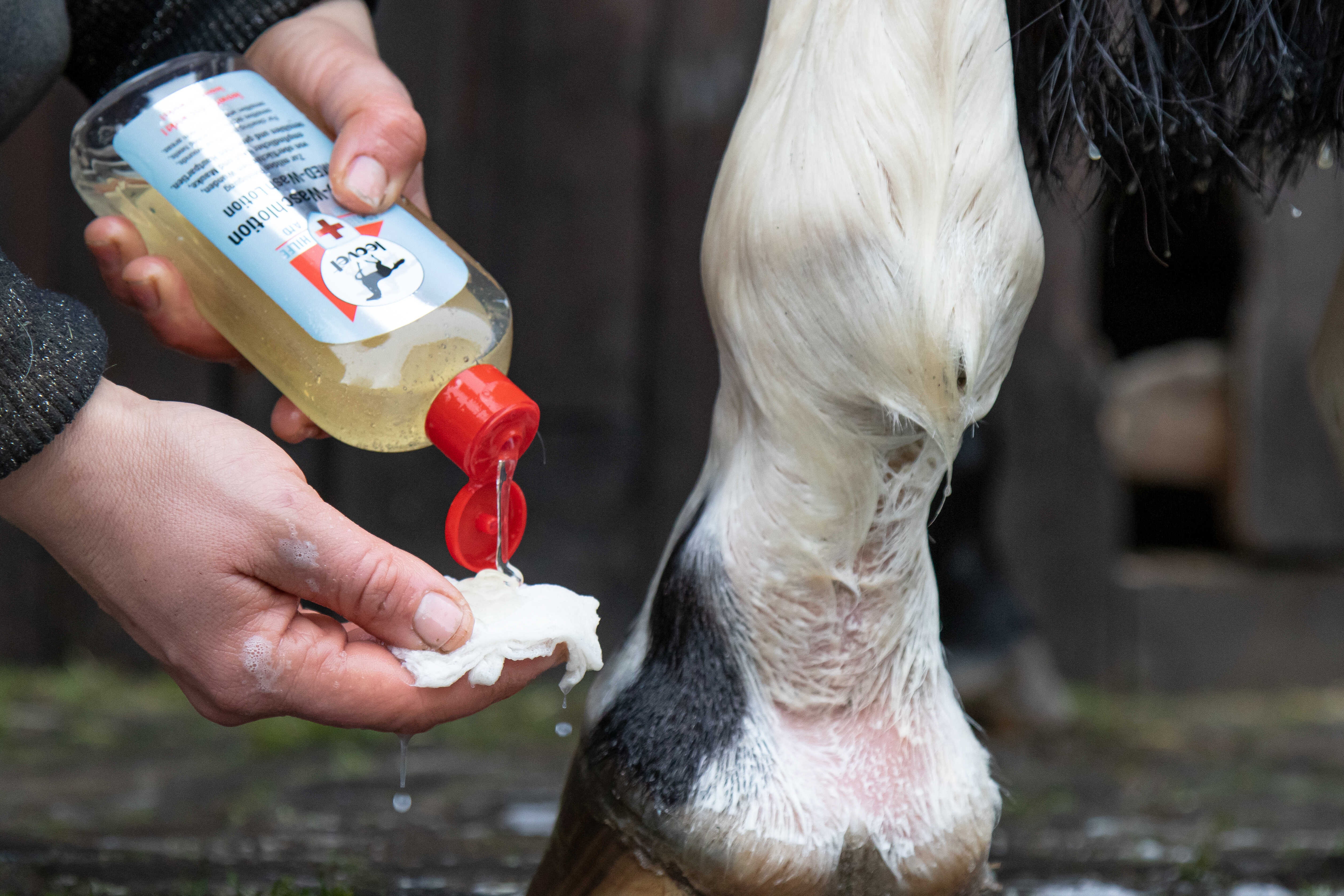 LEOVET Cleansing Lotion - Med