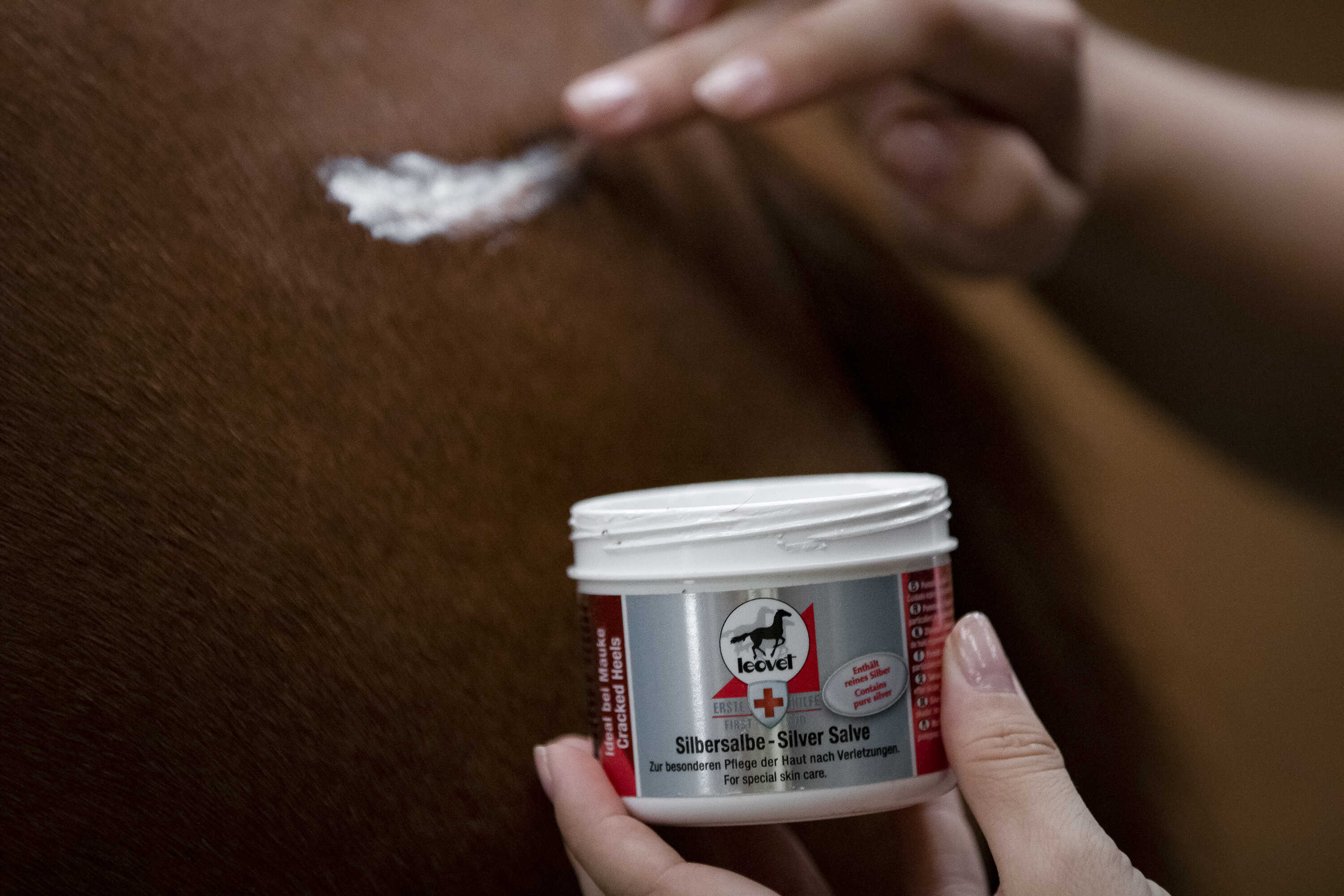 LEOVET Silver Ointment
