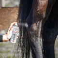LEOVET Zinc Spray