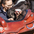 LEOVET Leather Cream