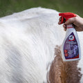 LEOVET Detangler Spray - Grey Horses