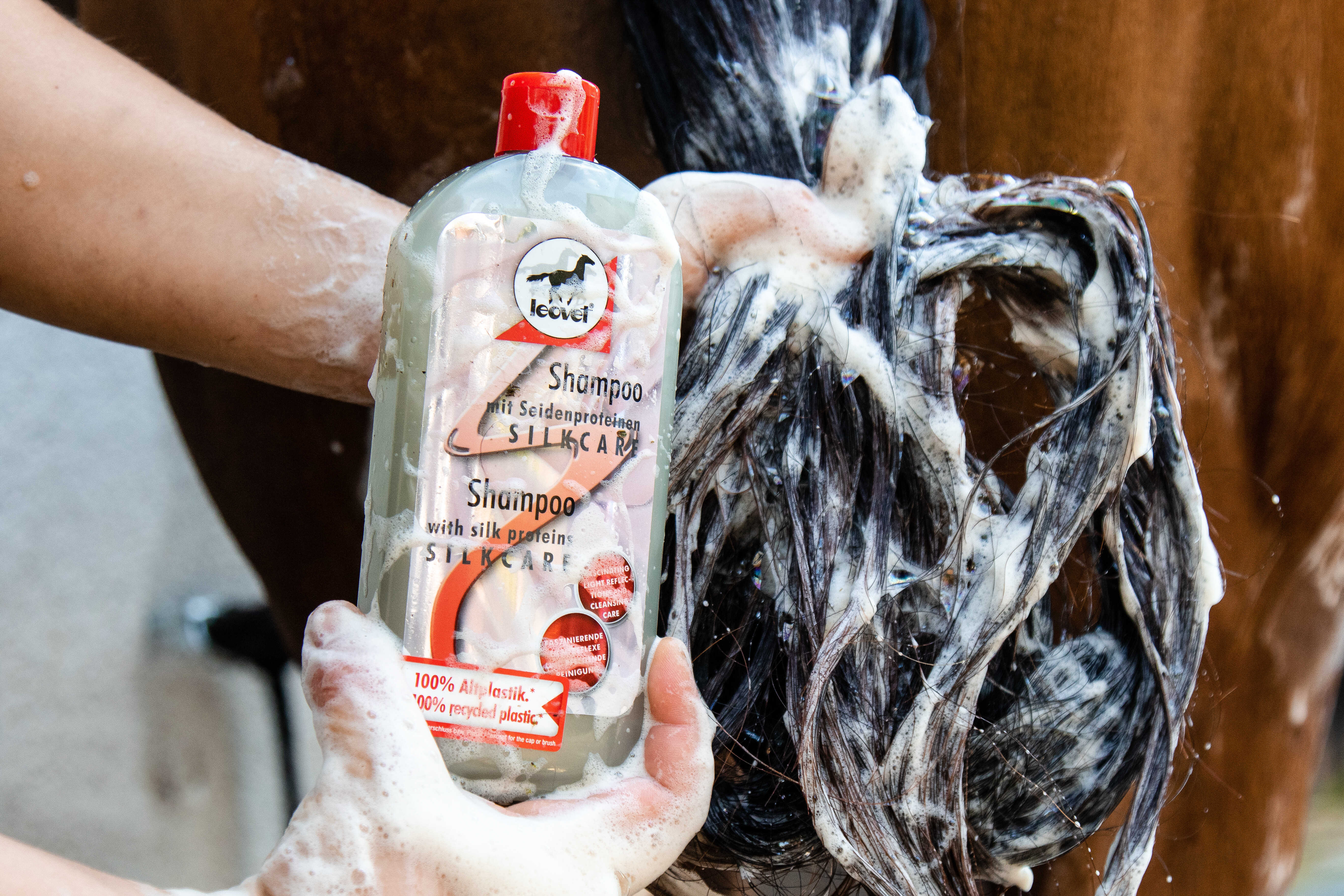 LEOVET Shampoo - Silkcare