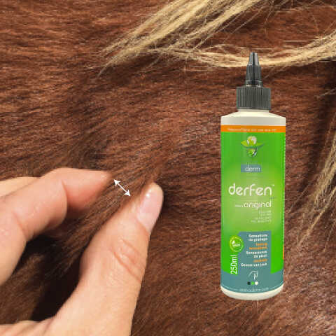 ANIMADERM Lotion - DERFENâ„¢ Original
