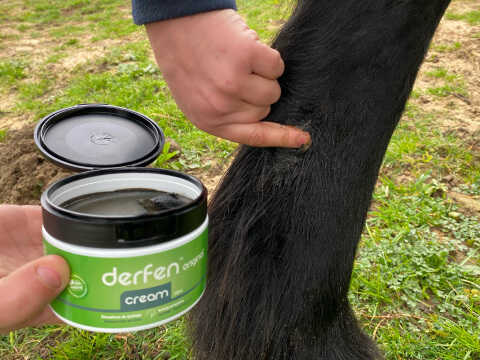 ANIMADERM Cream - DERFENâ„¢ Original