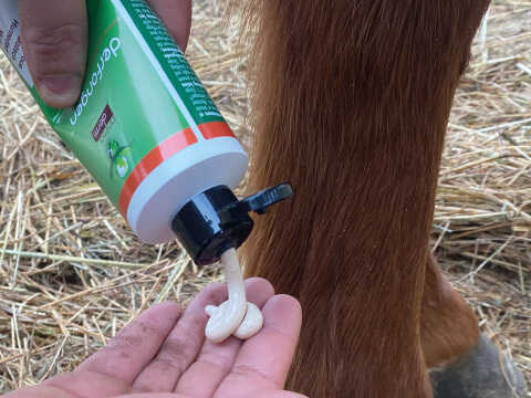 ANIMADERM Lotion - DERFONGENâ„¢