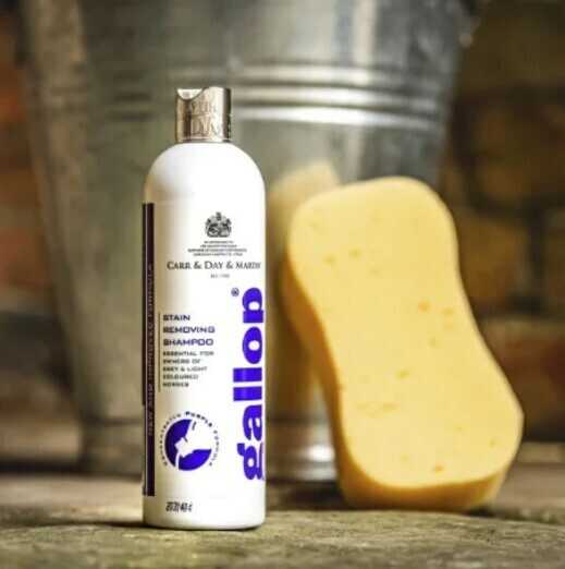 CARR & DAY & MARTIN Detangling Shampoo GallopÂ®