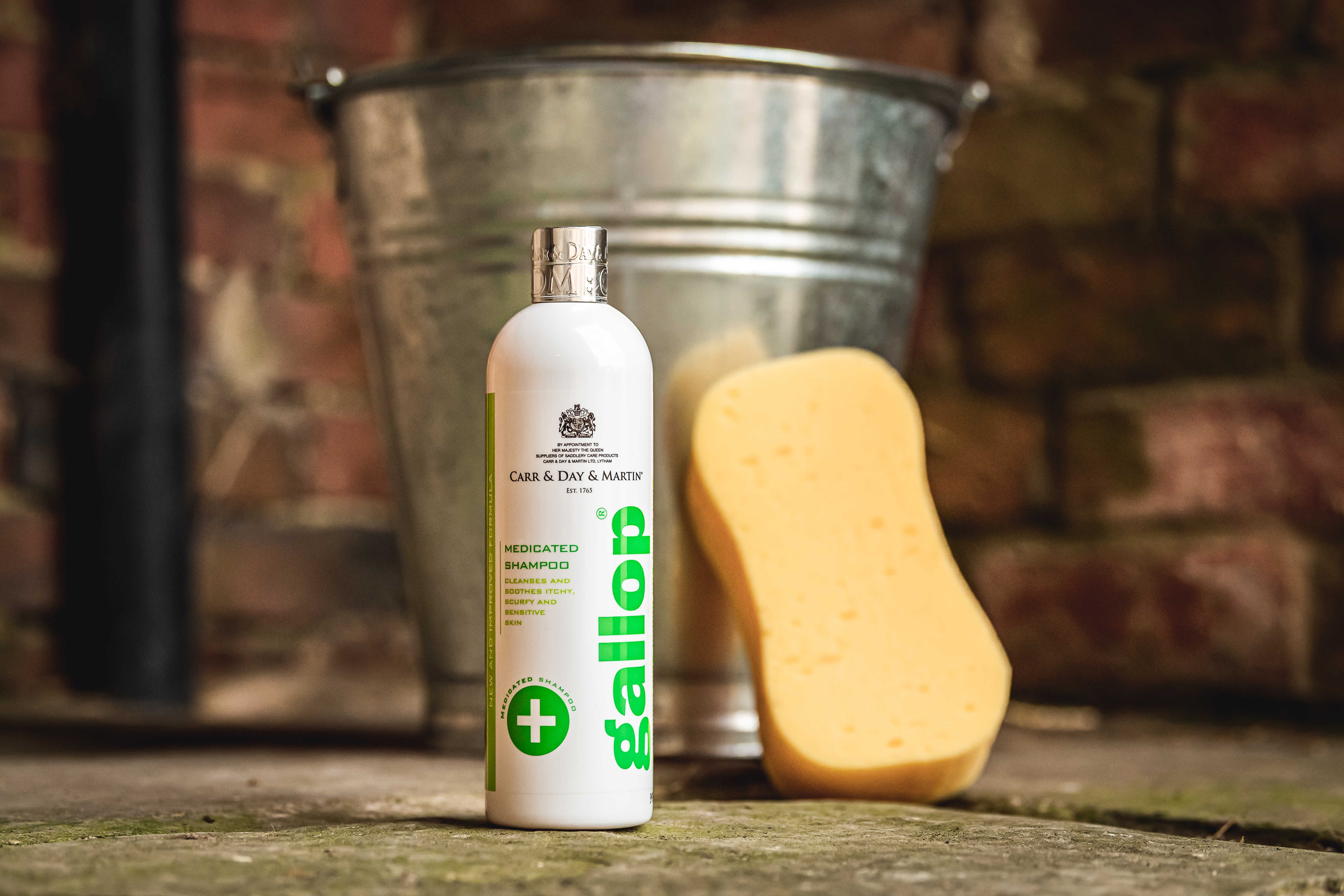 CARR & DAY & MARTIN Antibacterial Shampoo GallopÂ®