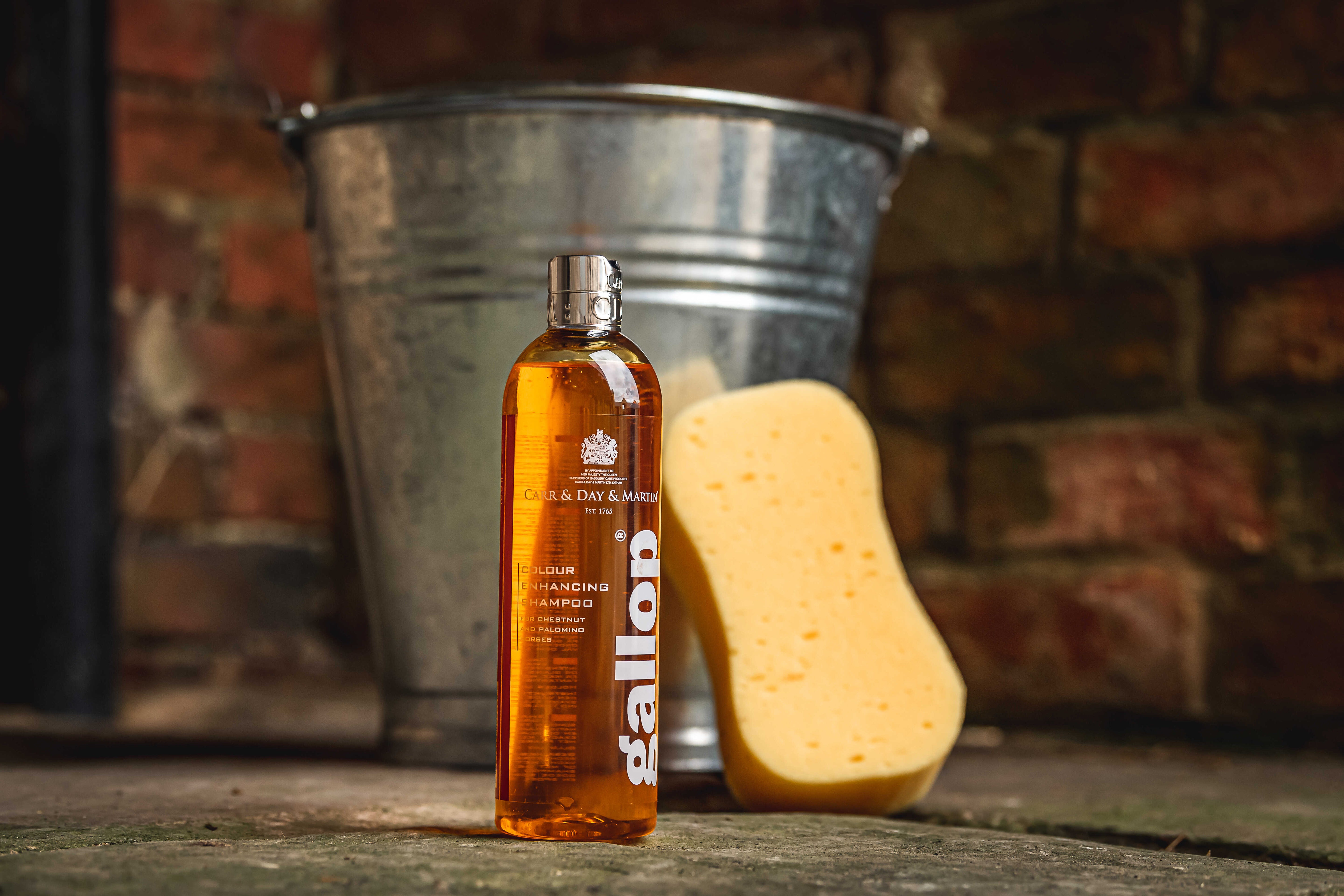 CARR & DAY & MARTIN Shampoo GallopÂ® Hazelnut and Palomino Horses