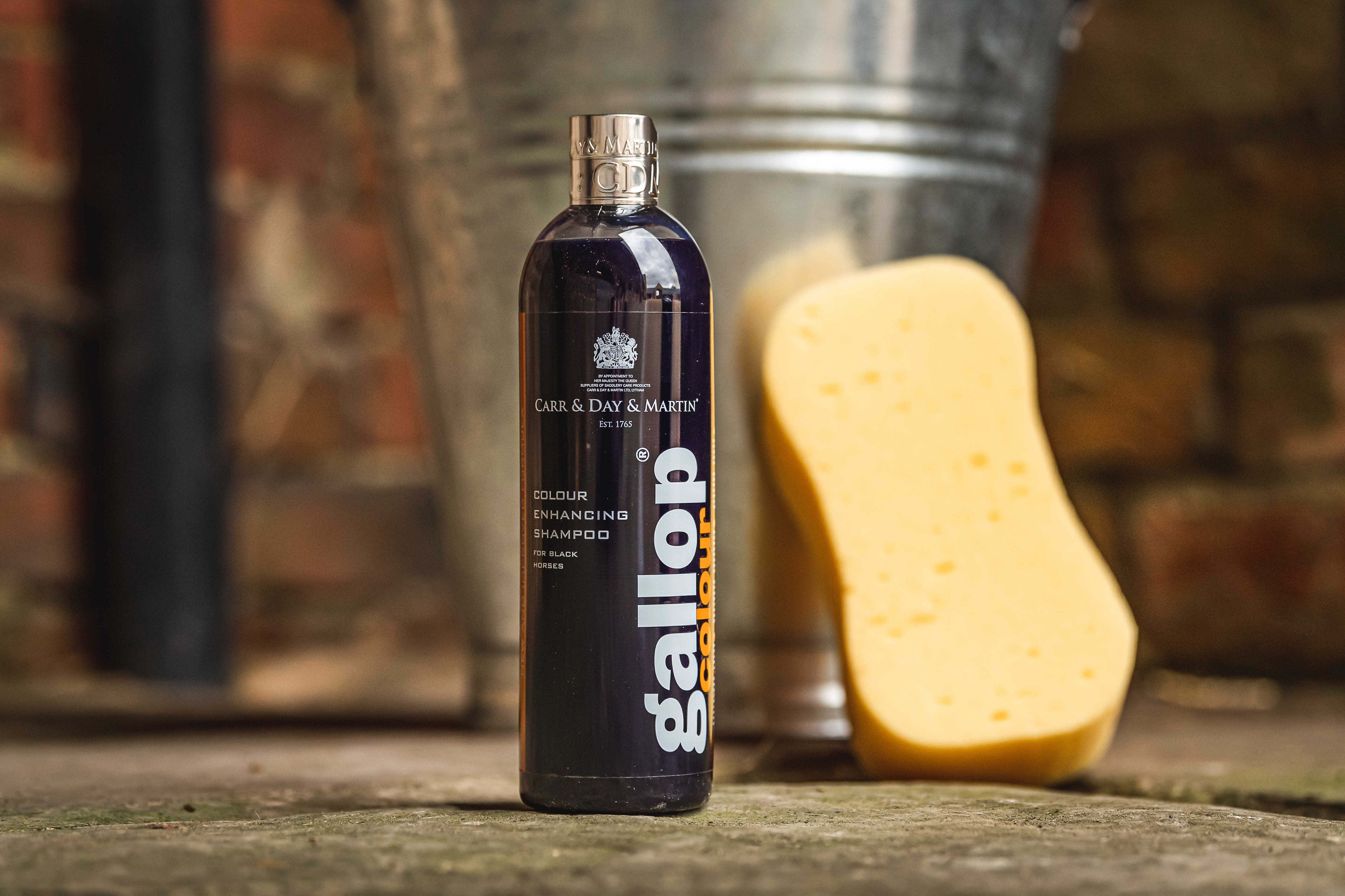 CARR & DAY & MARTIN Shampoo GallopÂ® Black Horses