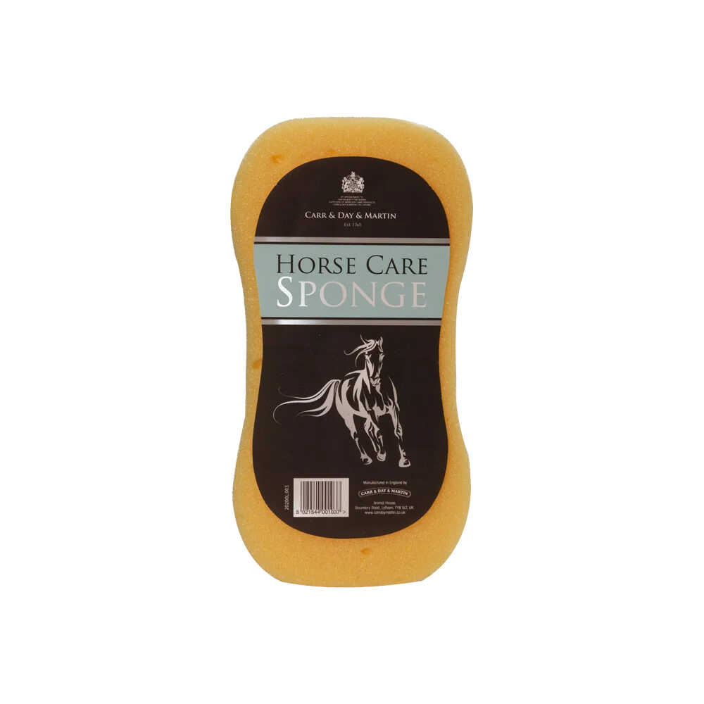 CARR & DAY & MARTIN Ergonomic Sponge