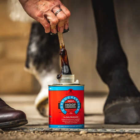 CARR & DAY & MARTIN - Hoof Dressing Cornucrescine - Hoof Oil