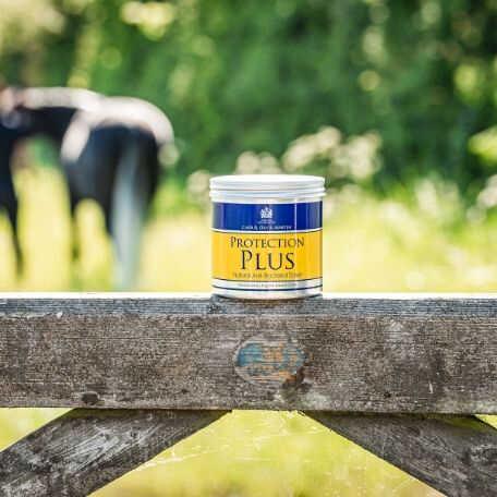 CARR & DAY & MARTIN - Protection Plus - Protective Cream