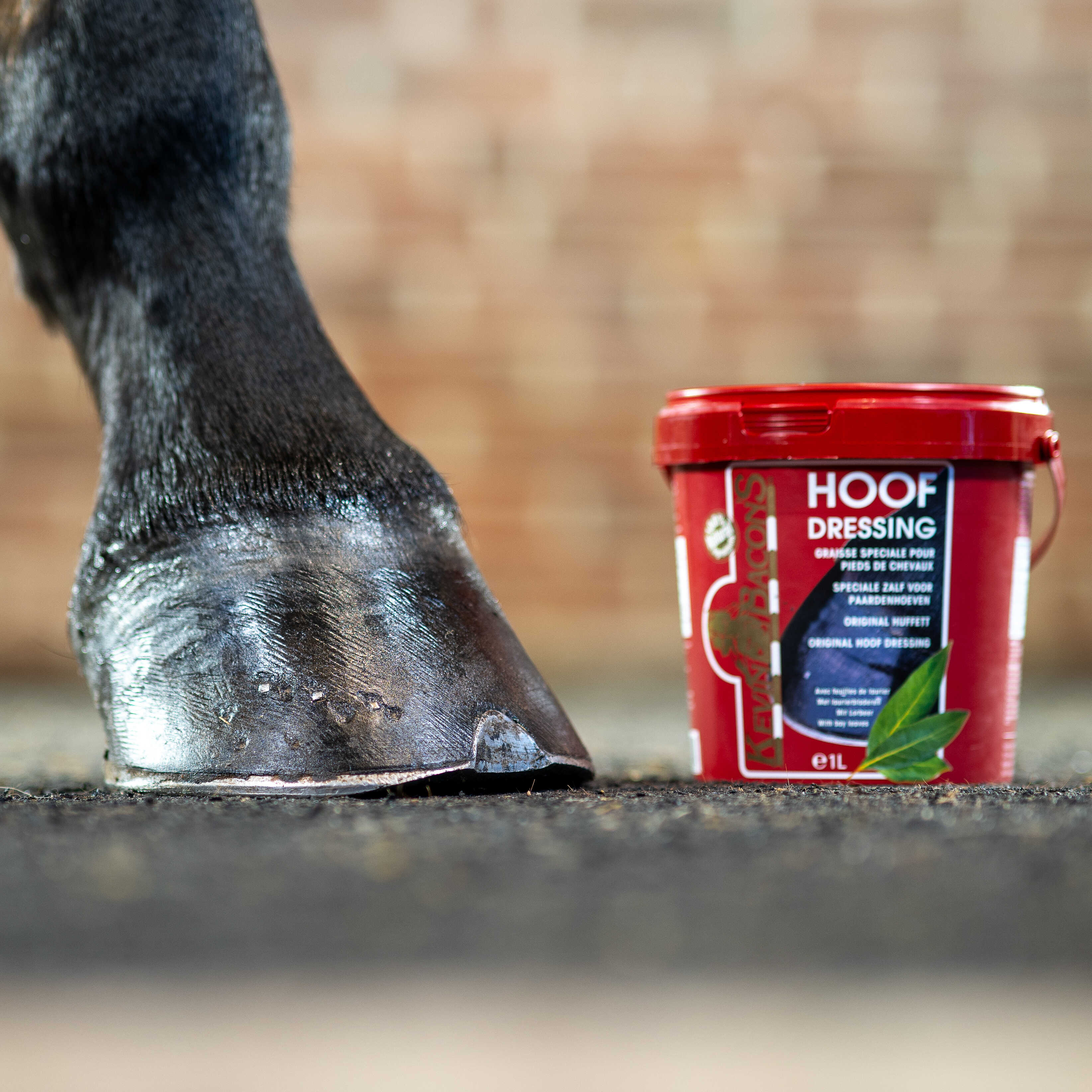 KEVIN BACON'S Hoof Grease - Hoof Dressing Black