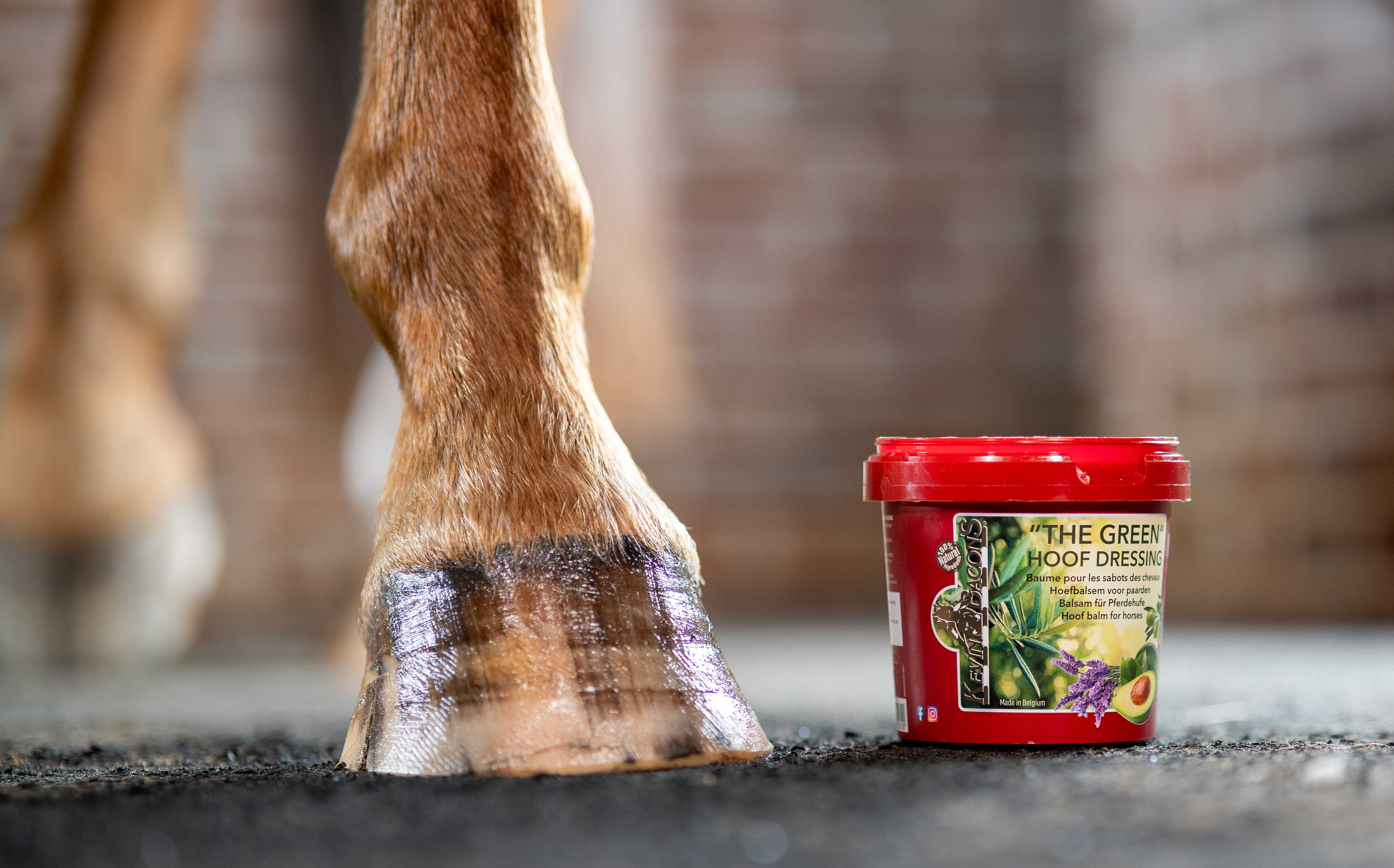 KEVIN BACON'S Hoof Balm - Hoof Dressing The Green