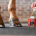 KEVIN BACON'S Hoof Oil - Hoof Dressing Liquid