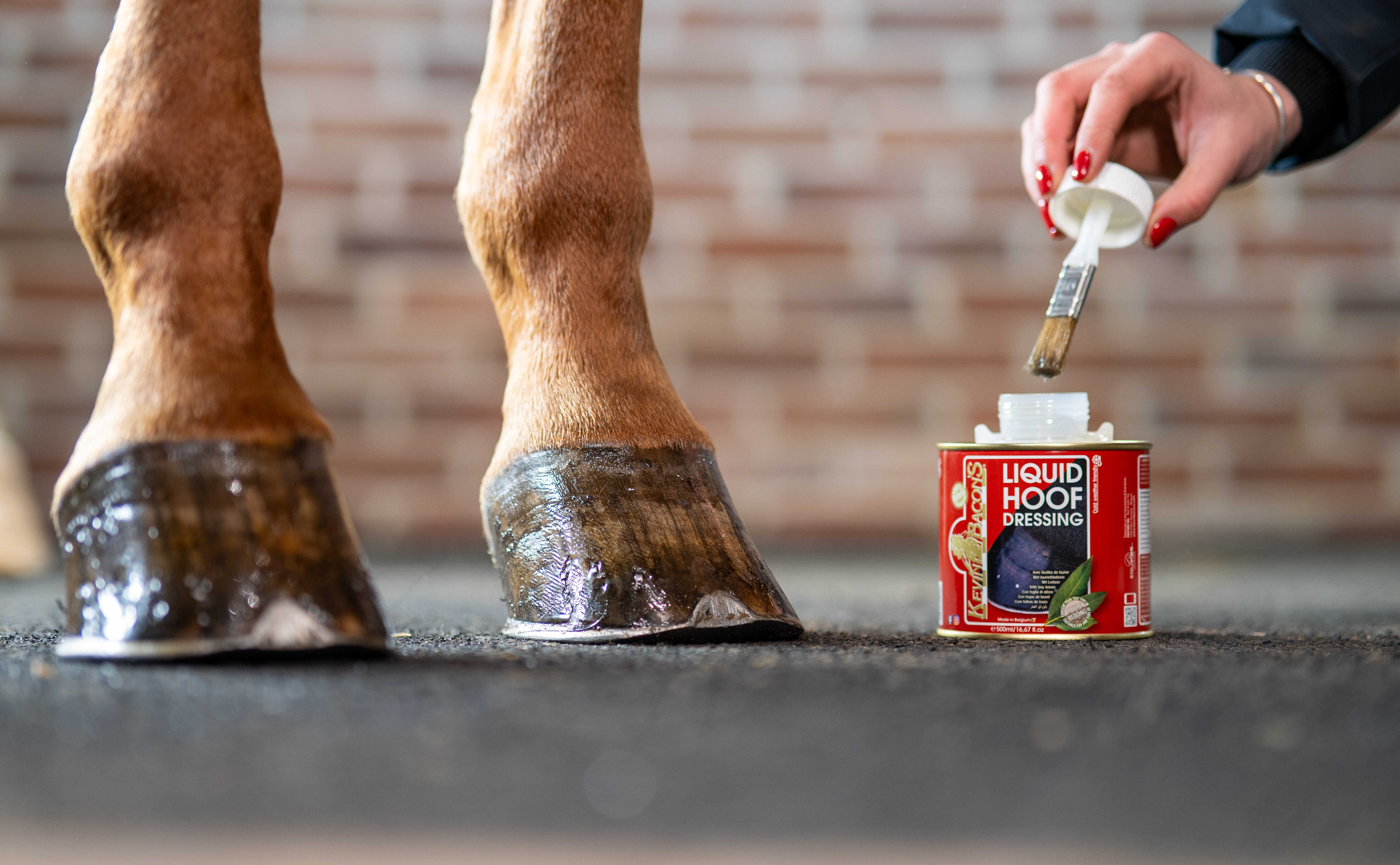 KEVIN BACON'S Hoof Oil - Hoof Dressing Liquid