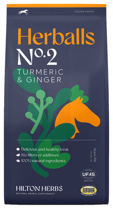 HILTON HERBS - Herballs - Turmeric & Ginger