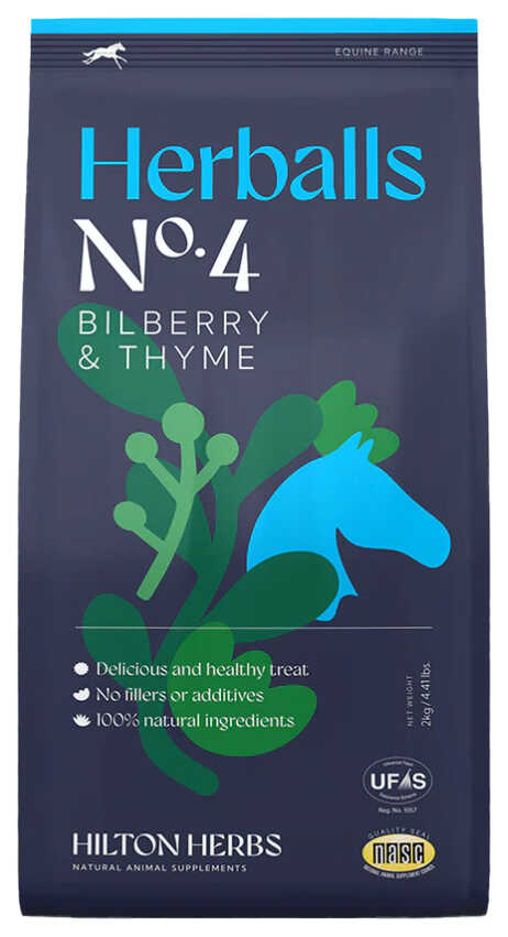 HILTON HERBS - Herballs - Blueberry & Thyme