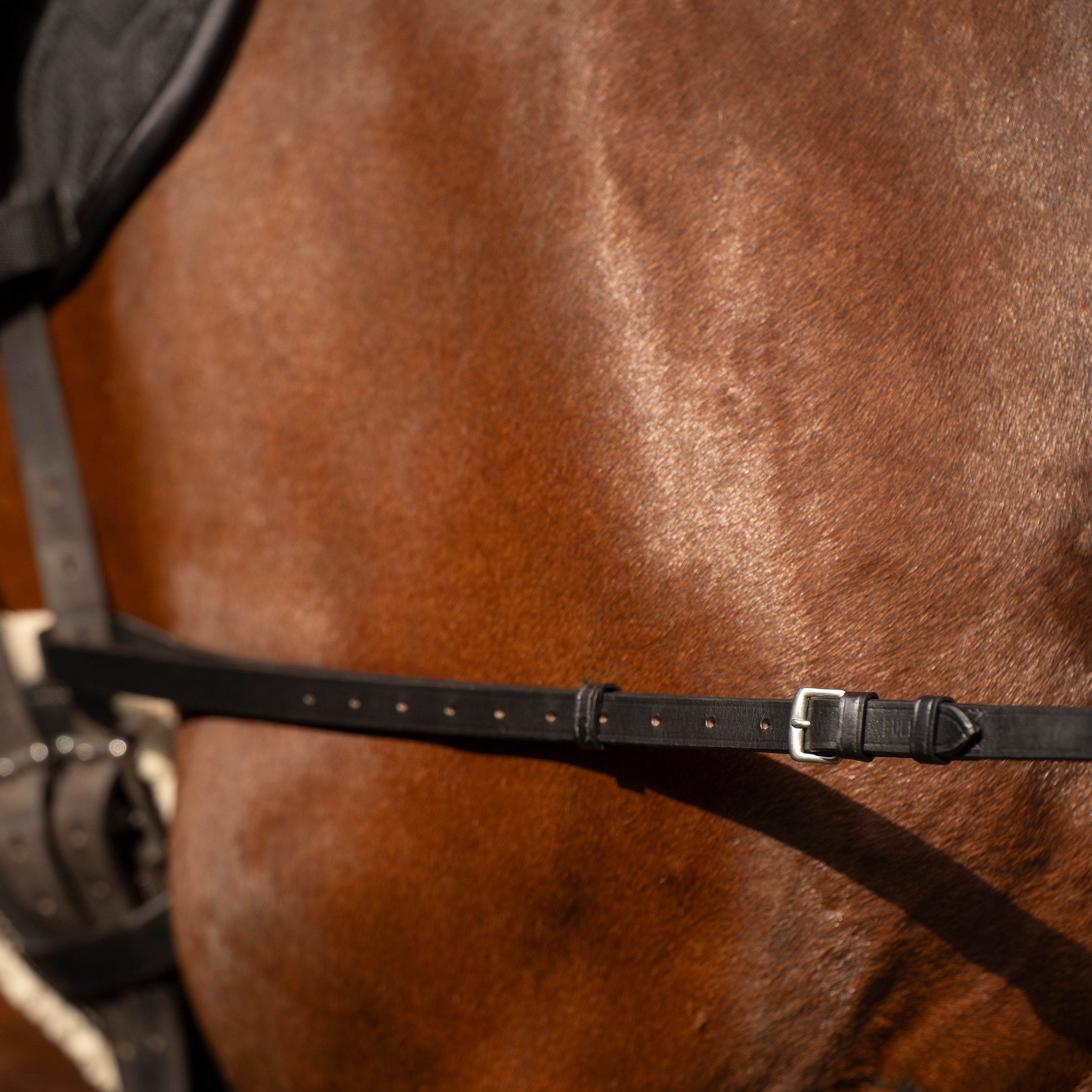 Side reins leather IRHCore