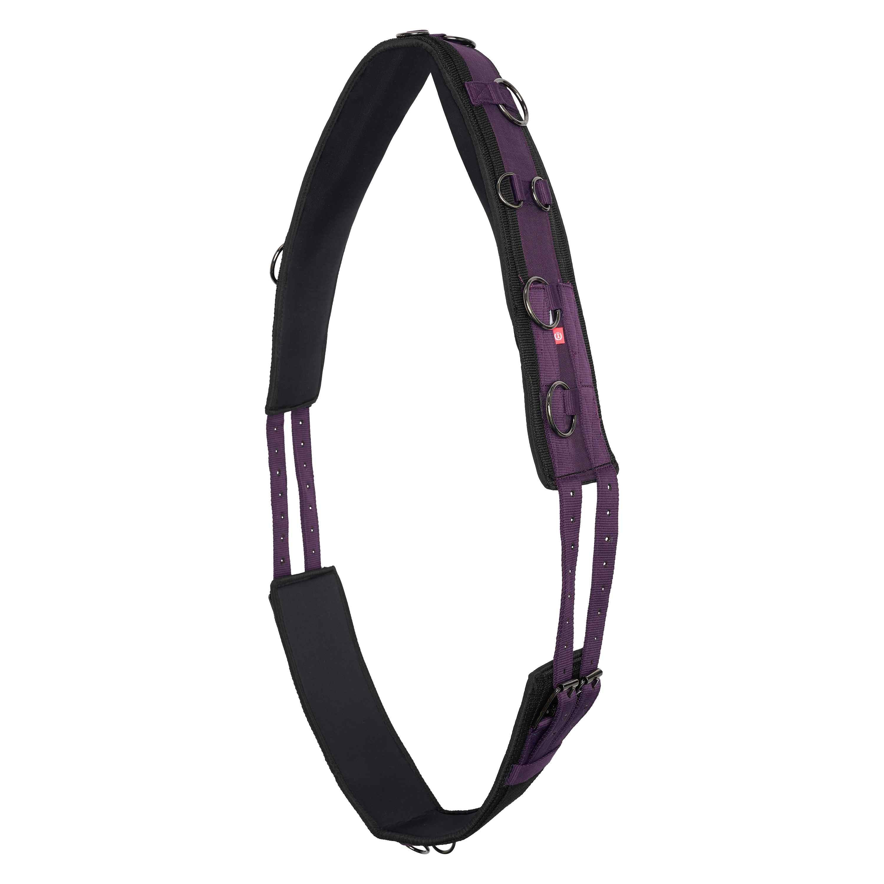 Lunging girth IRHDeluxe Extra